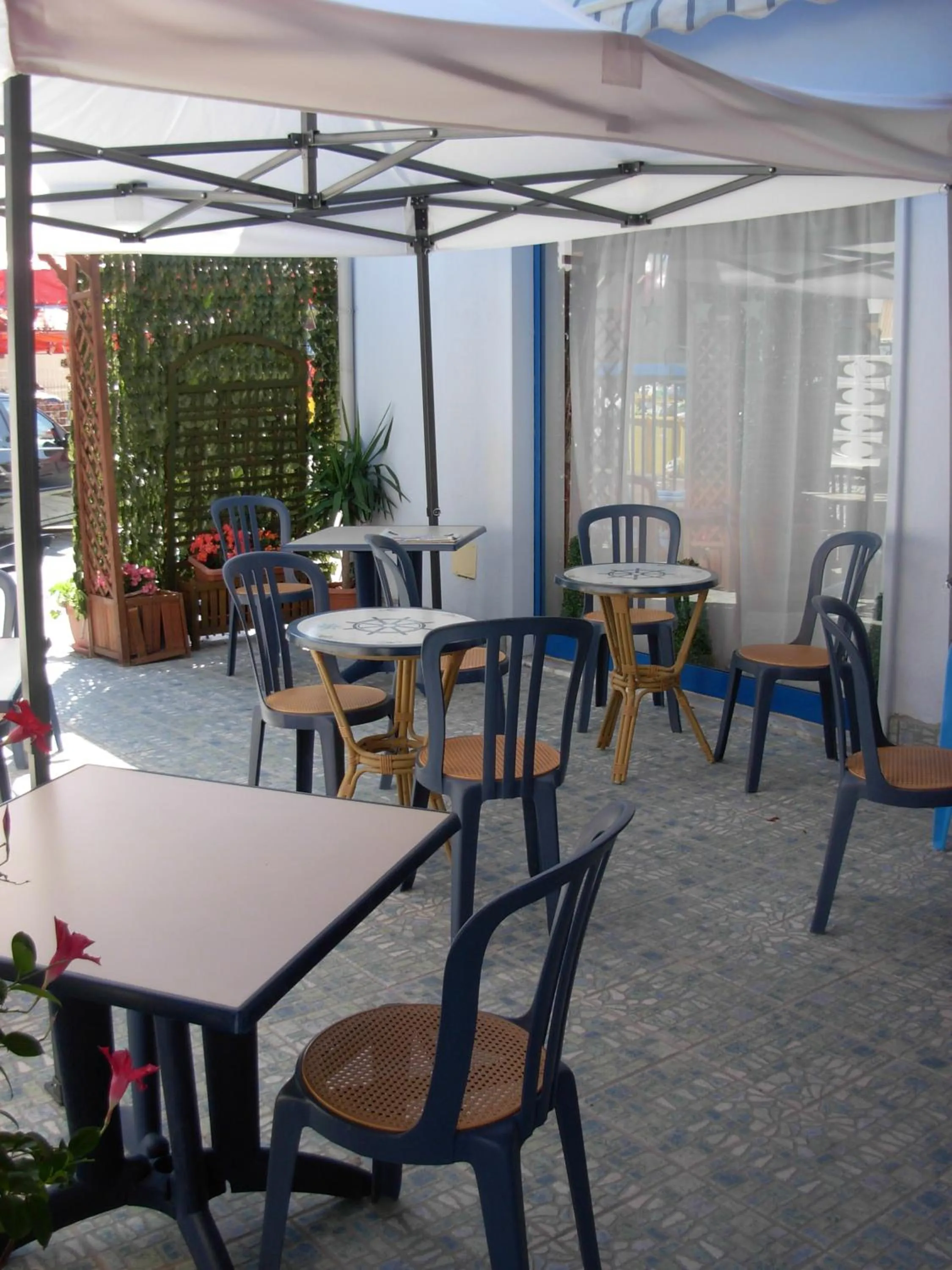 Garden in Beach Hotel