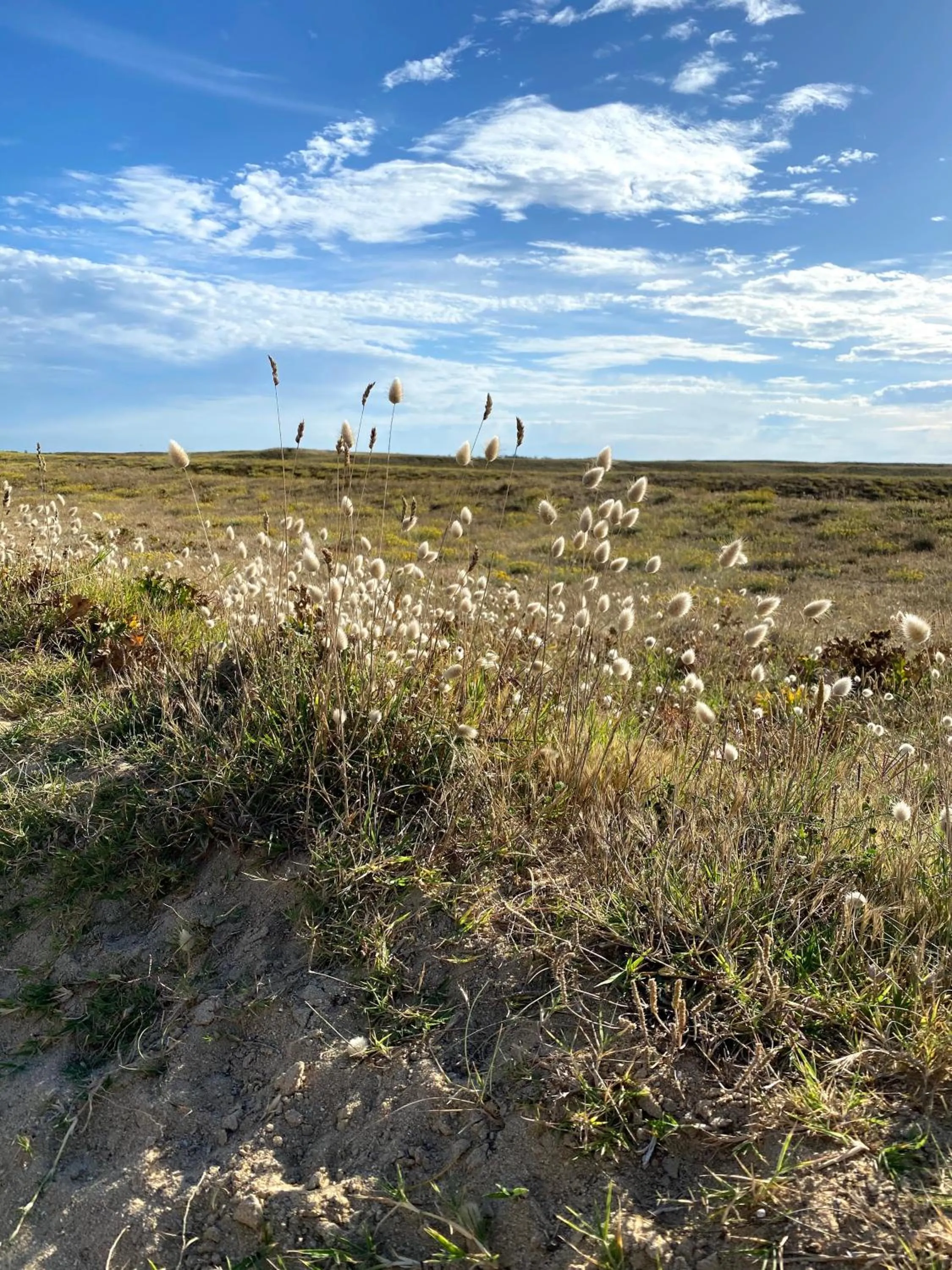 Nearby landmark in Hôtel La Maison des Dunes
