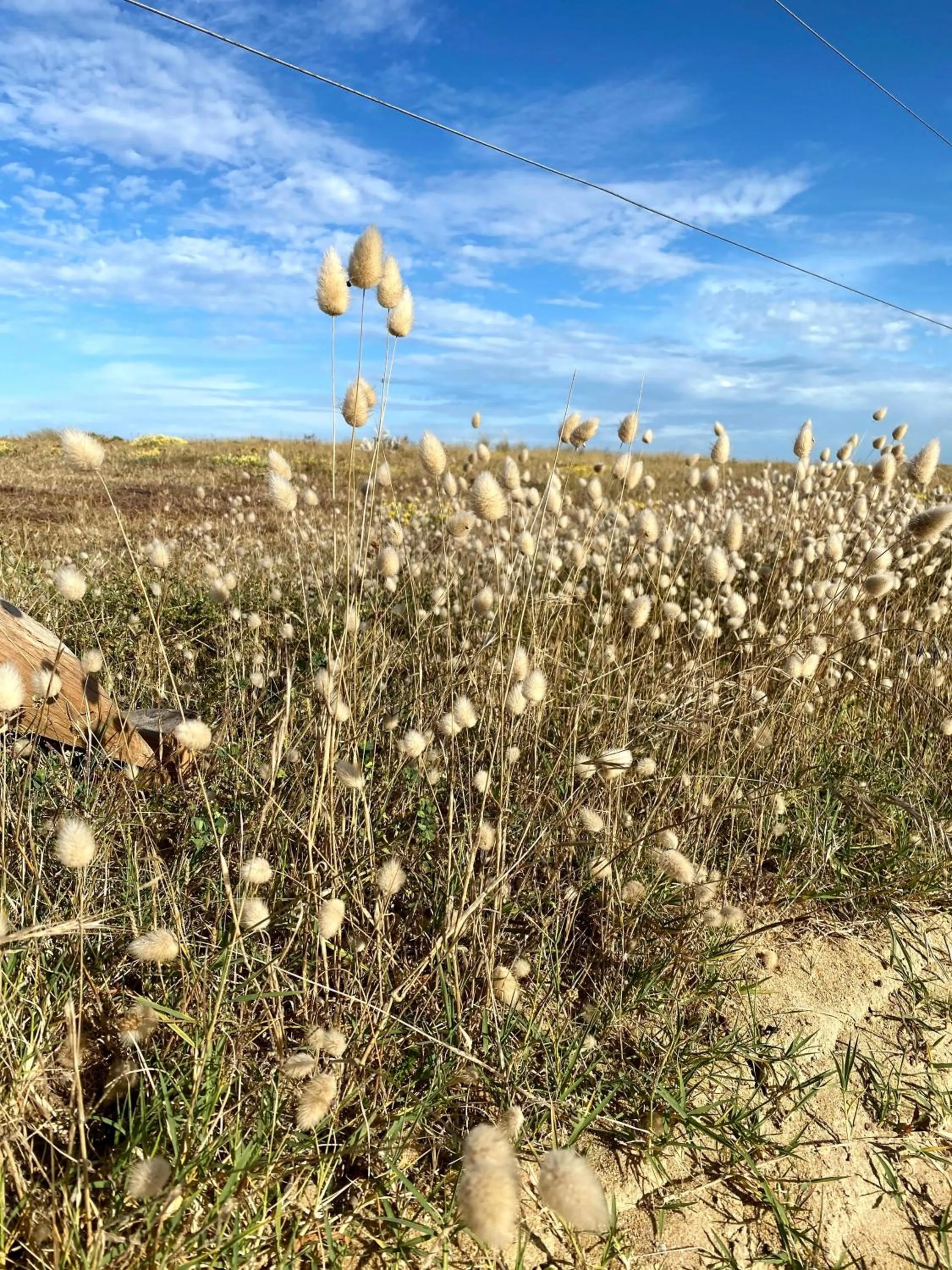 Nearby landmark in Hôtel La Maison des Dunes