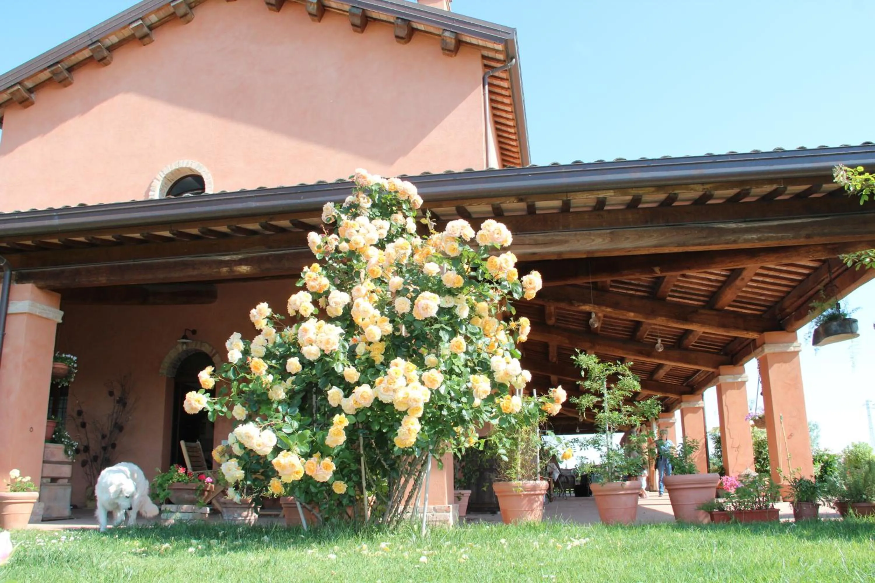 Property building in La Fornasaccia