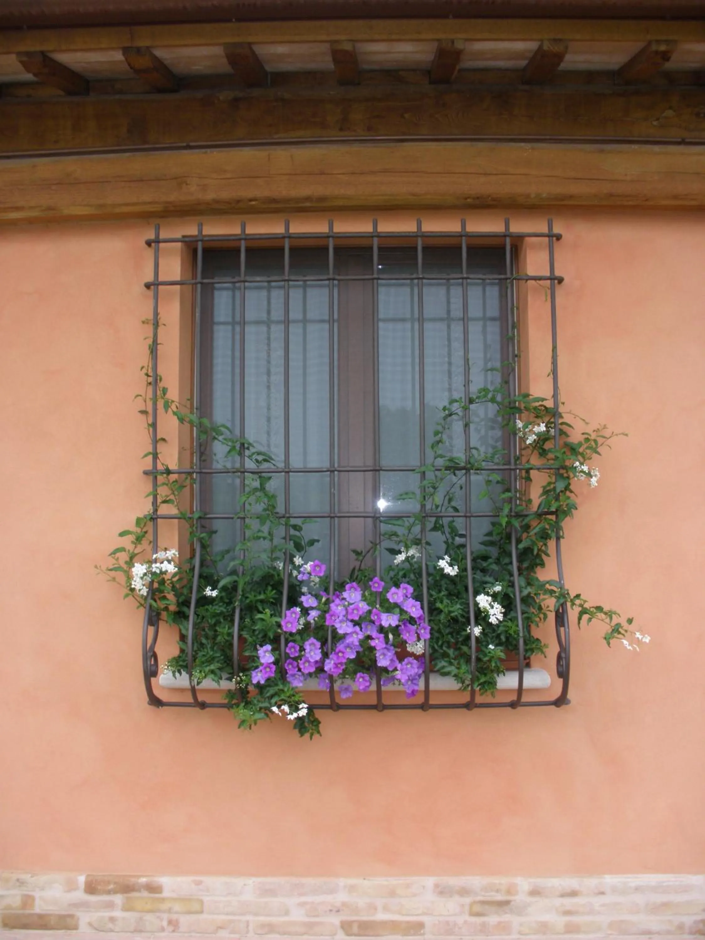 Spring in La Fornasaccia