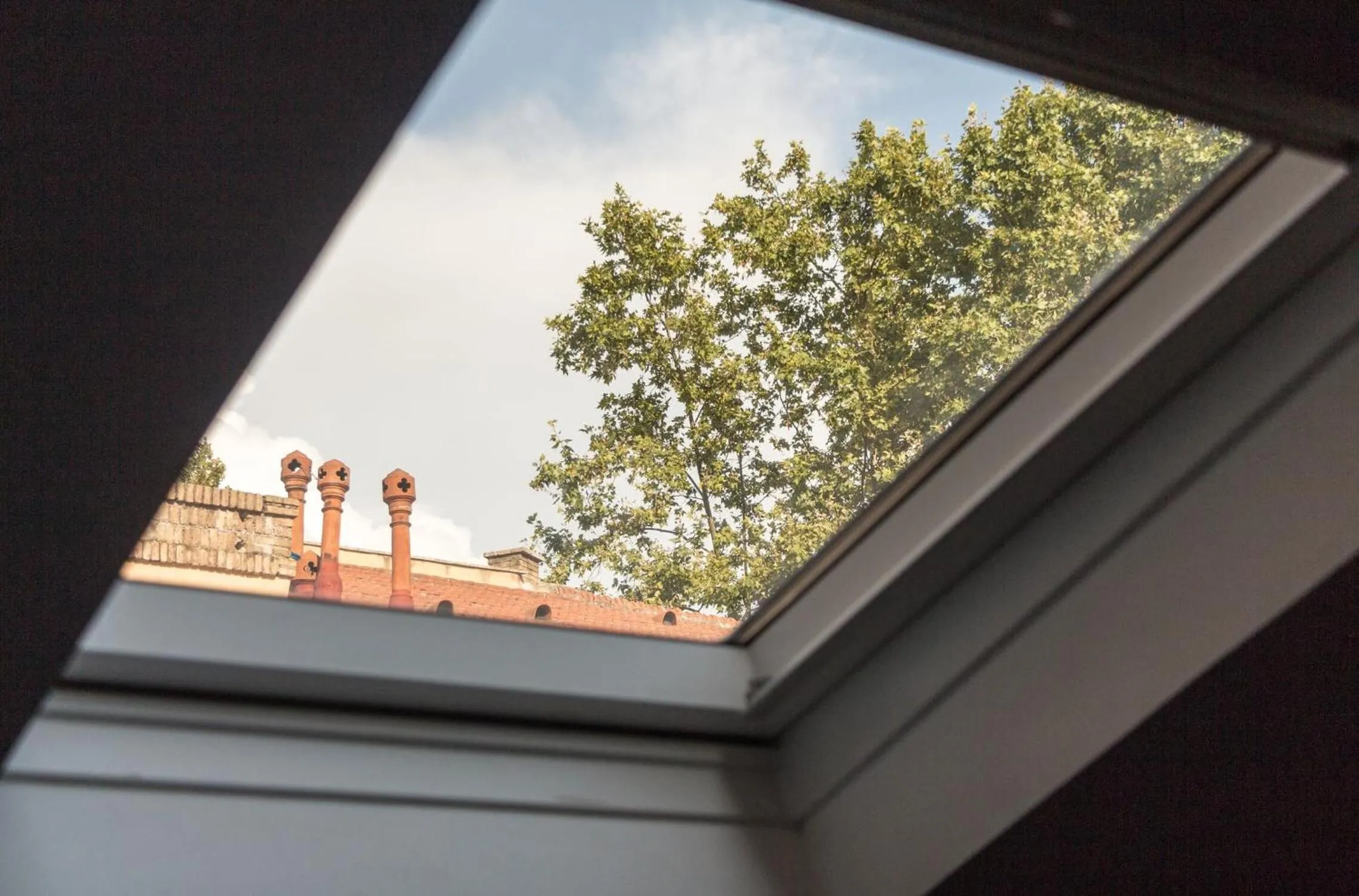 View (from property/room) in Torripa Group - Trastevere