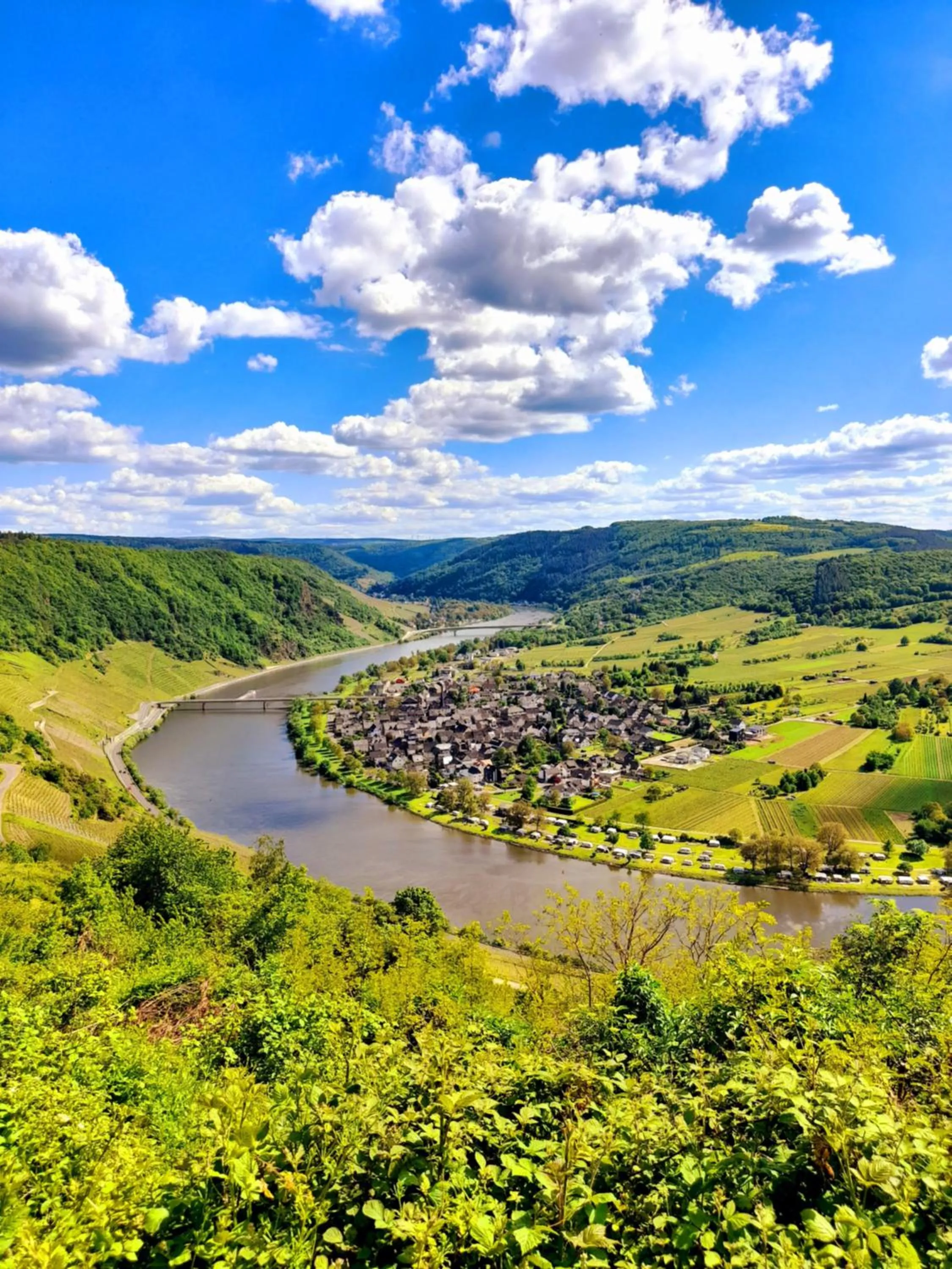 Nearby landmark in Moselblick Hotel Aroma