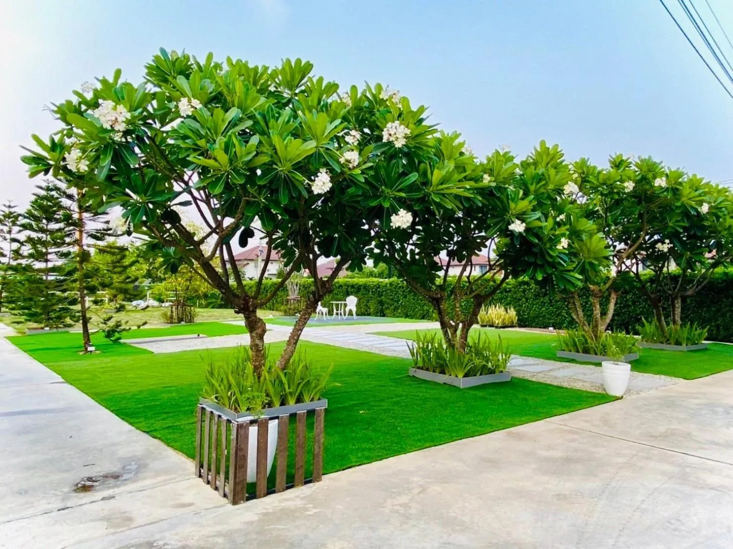 Garden in The Vet Boutique Hotel - SHA Extra Plus