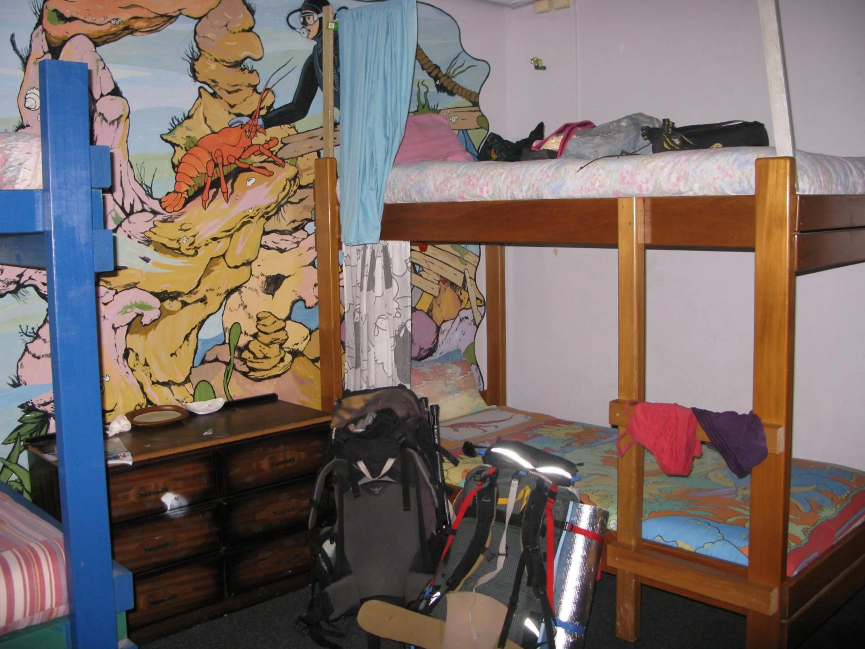bunk bed in Atlantis Backpackers