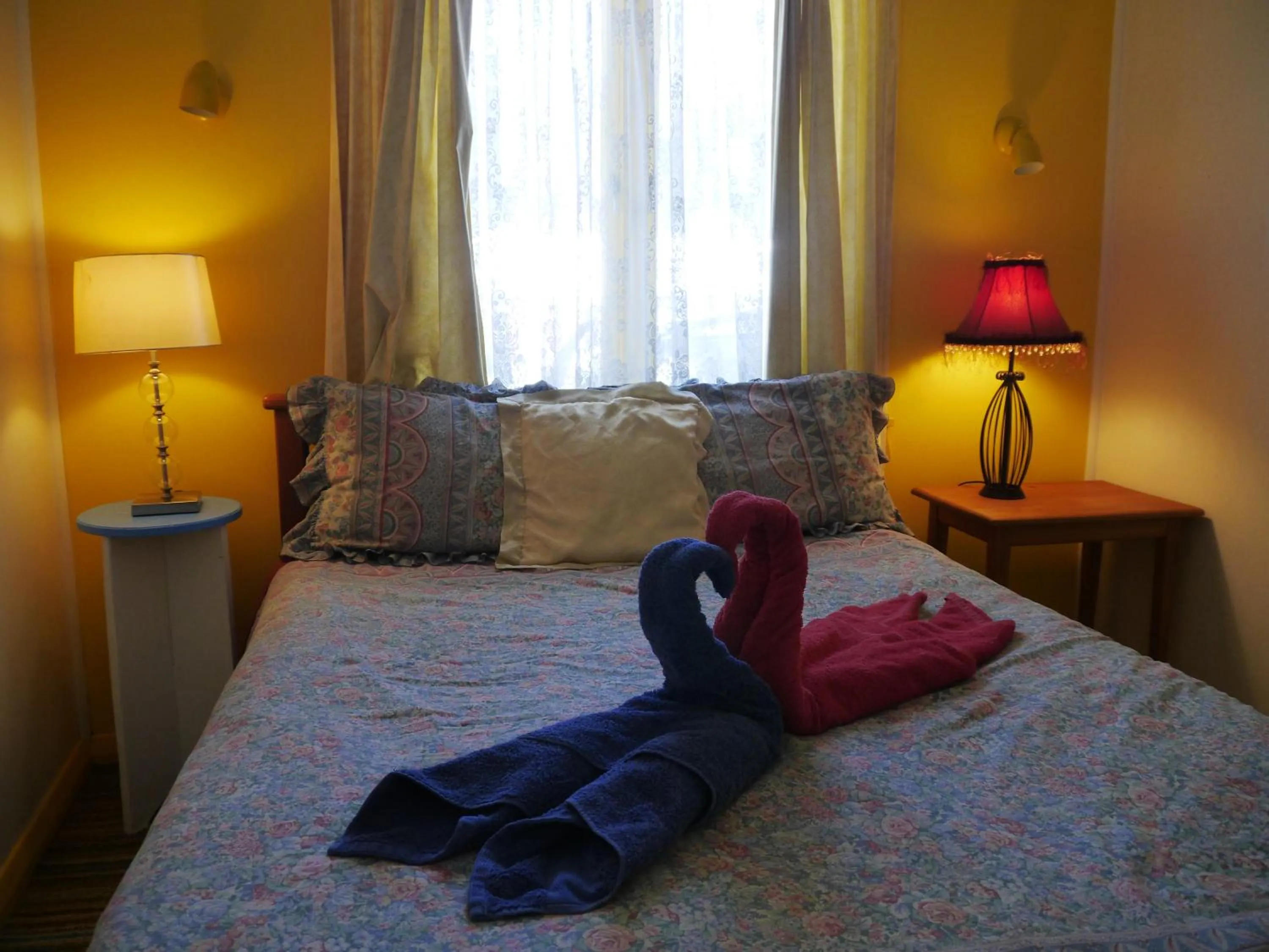 Bed in Atlantis Backpackers