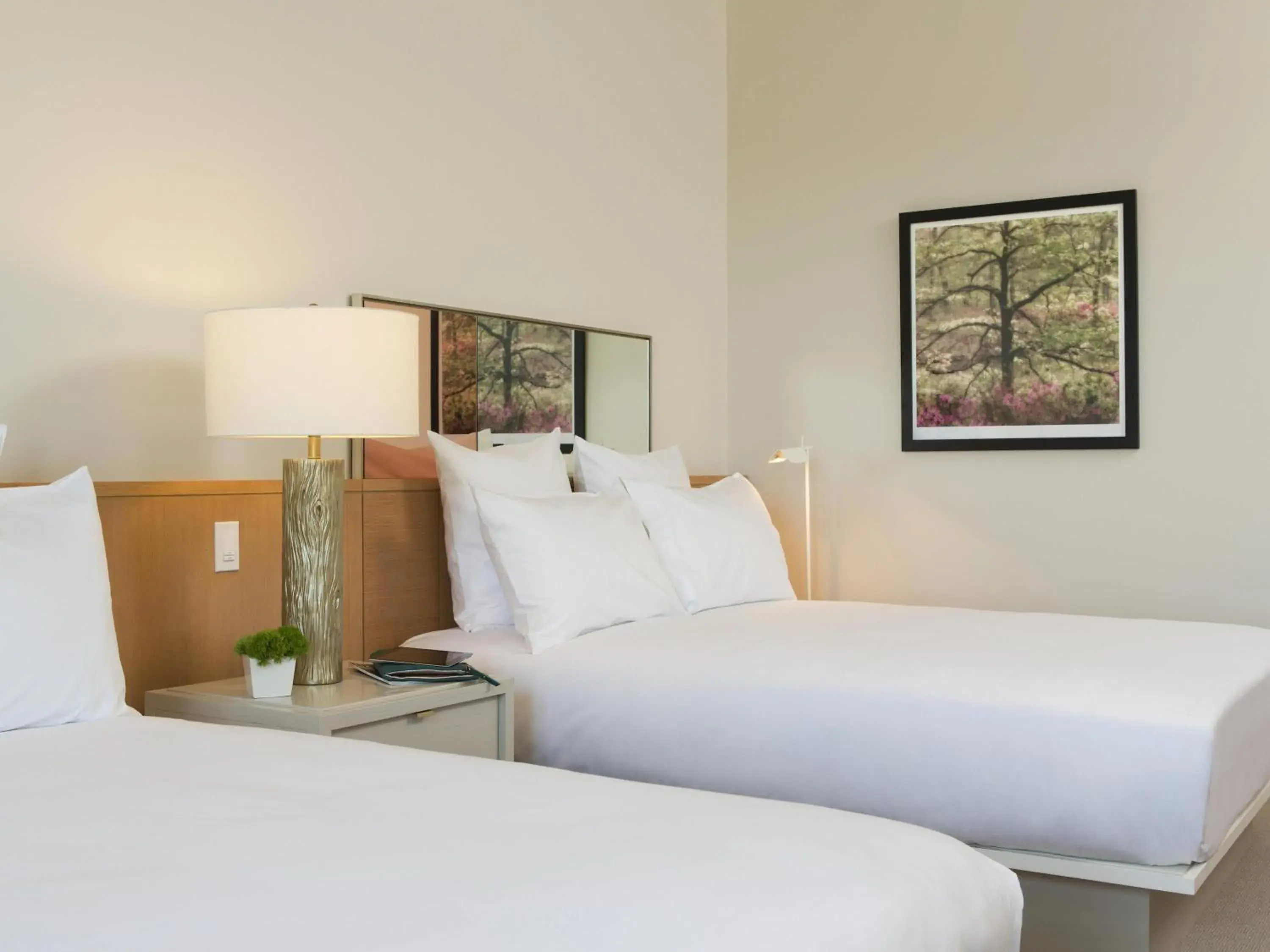 Deluxe Queen Room in 21c Museum Hotel Bentonville - MGallery Deluxe Queen Room in 21c Museum Hotel Bentonville - MGallery