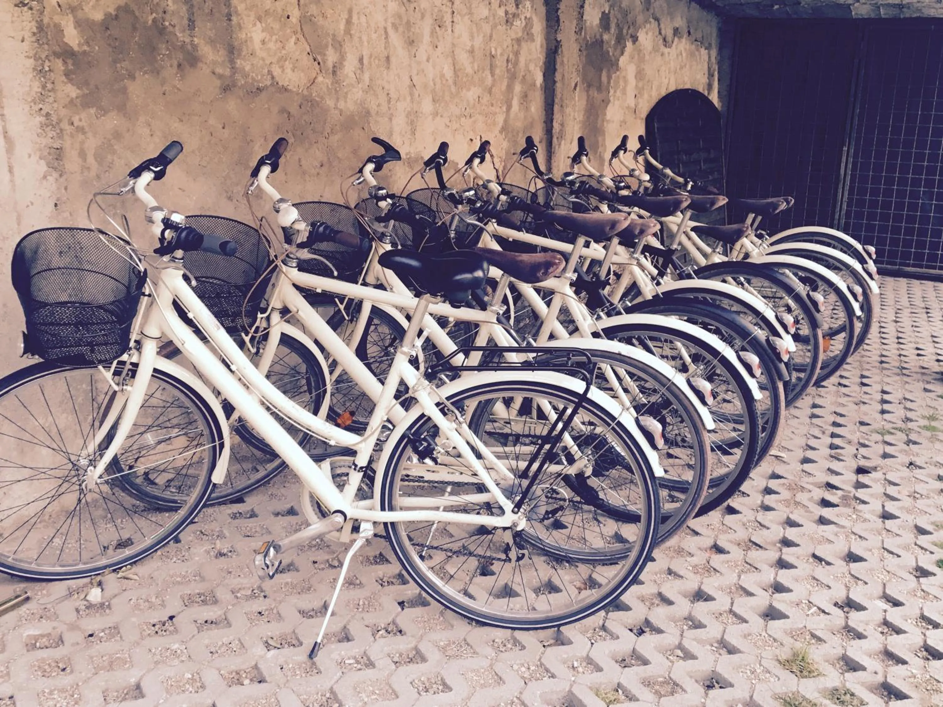 Activities in Hotel e Ristorante Cassone