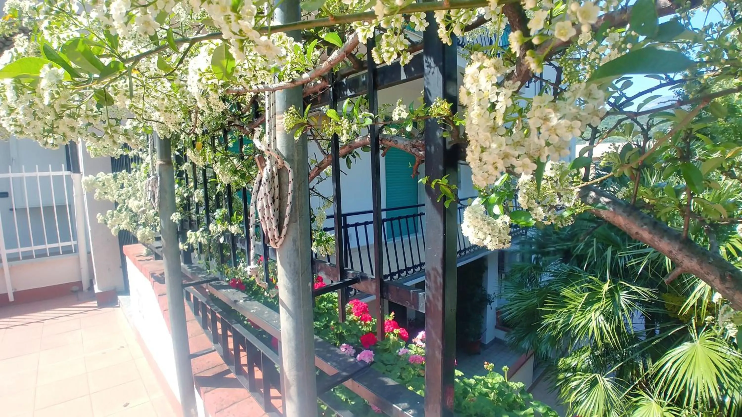 Natural landscape in Residence Oleandro