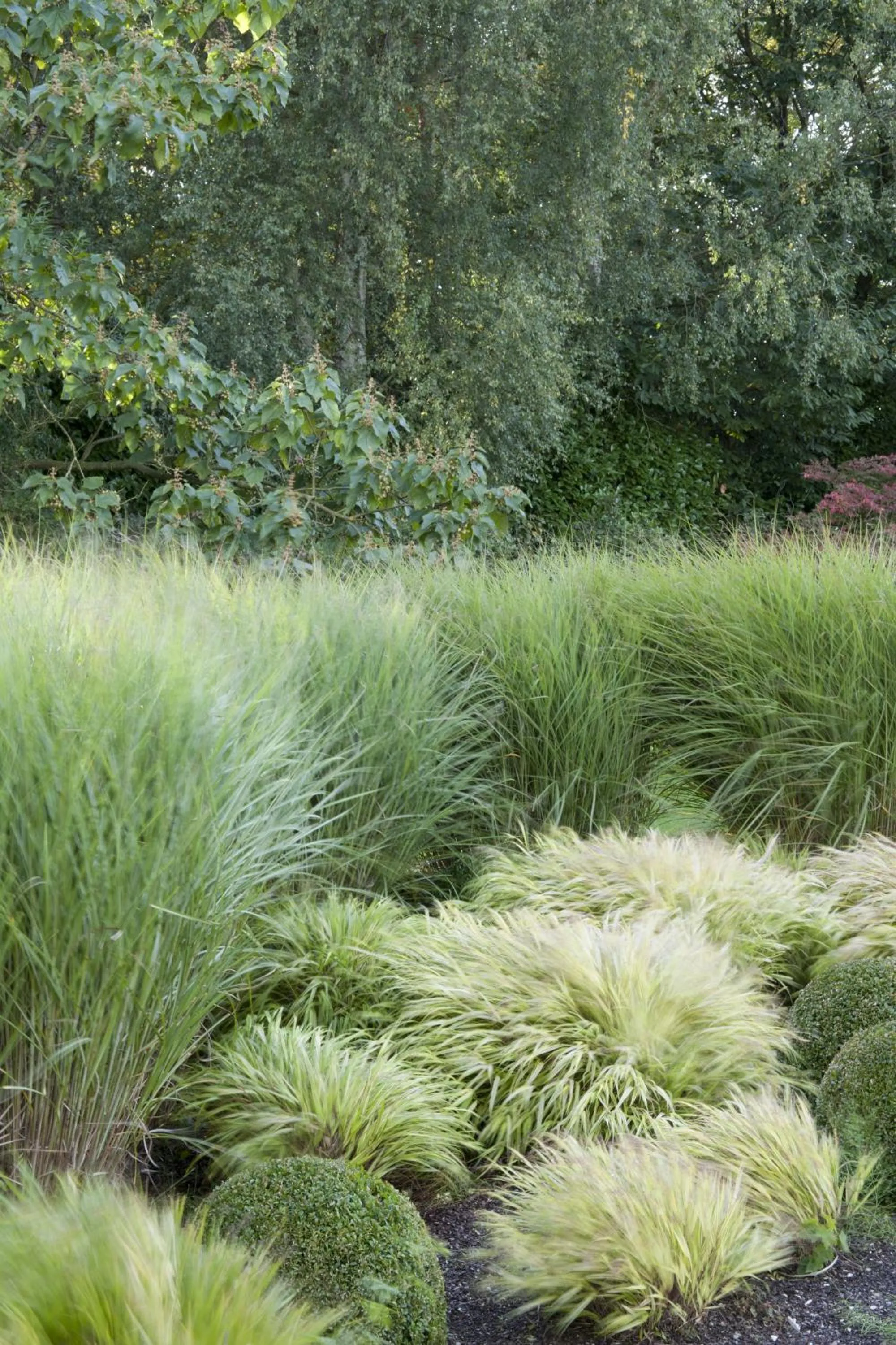 Garden in B&B Au Grenier
