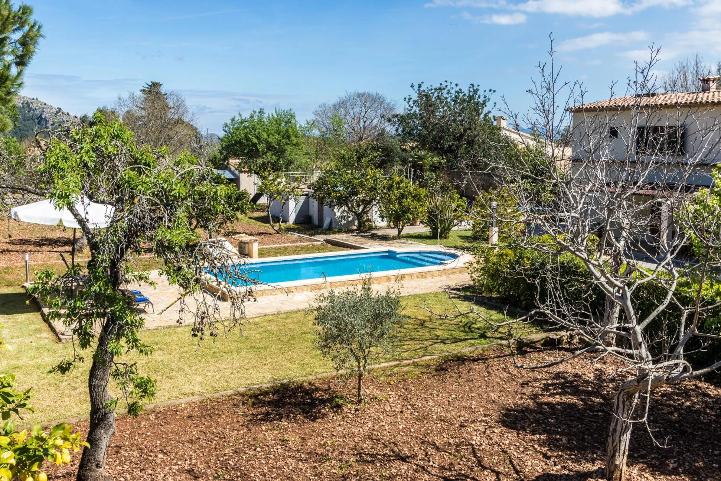 Swimming pool in Villa La Palmera By homevillas360