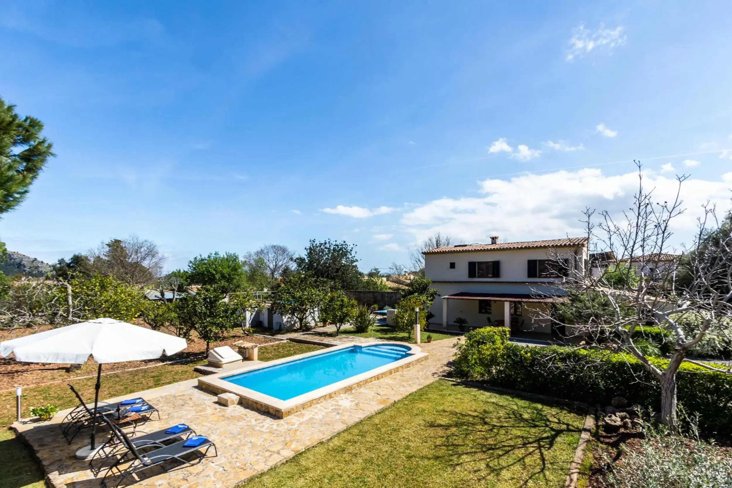 Villa La Palmera By homevillas360 Villa La Palmera By homevillas360