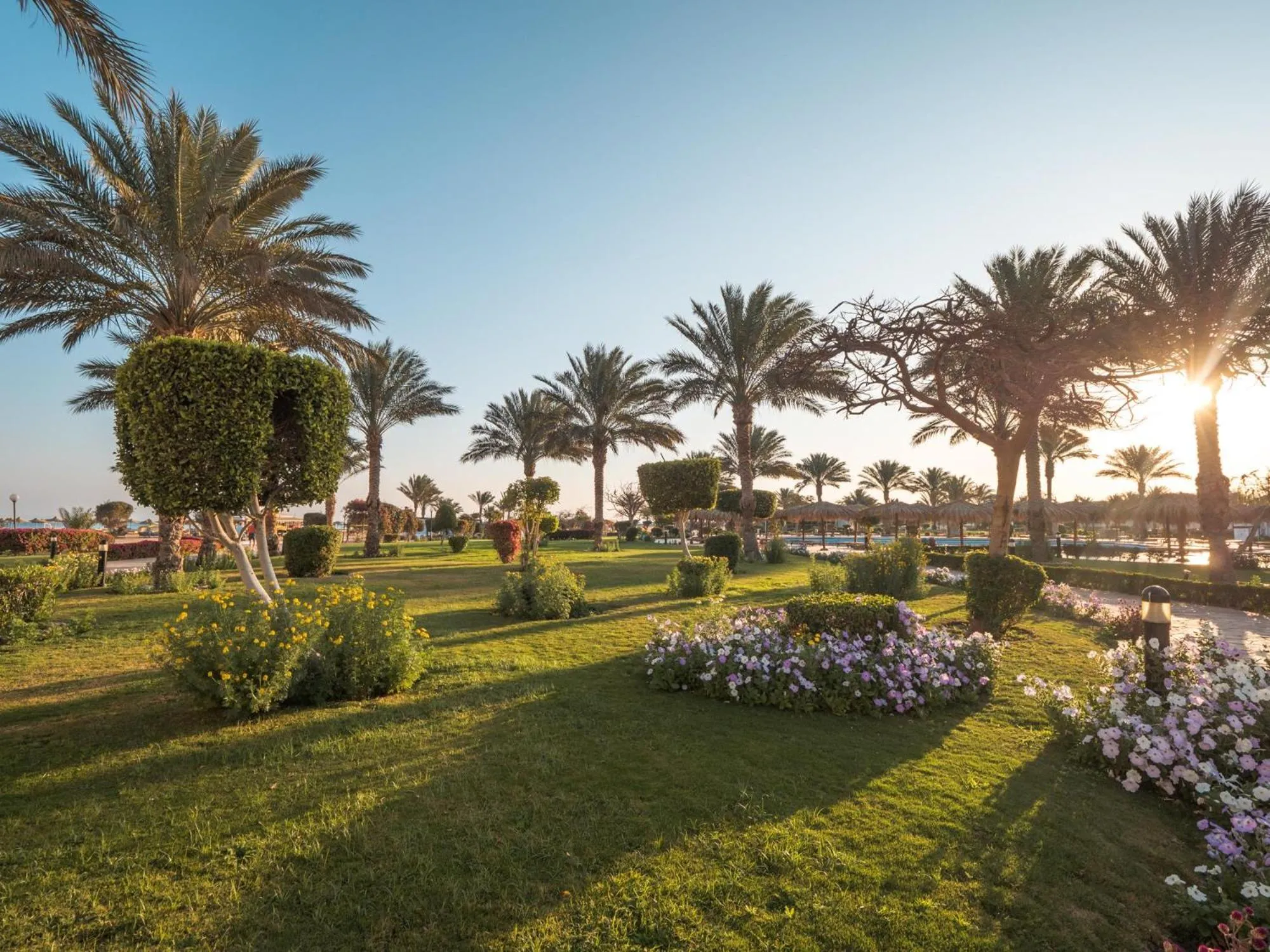 Garden in Hurghada Long Beach Resort