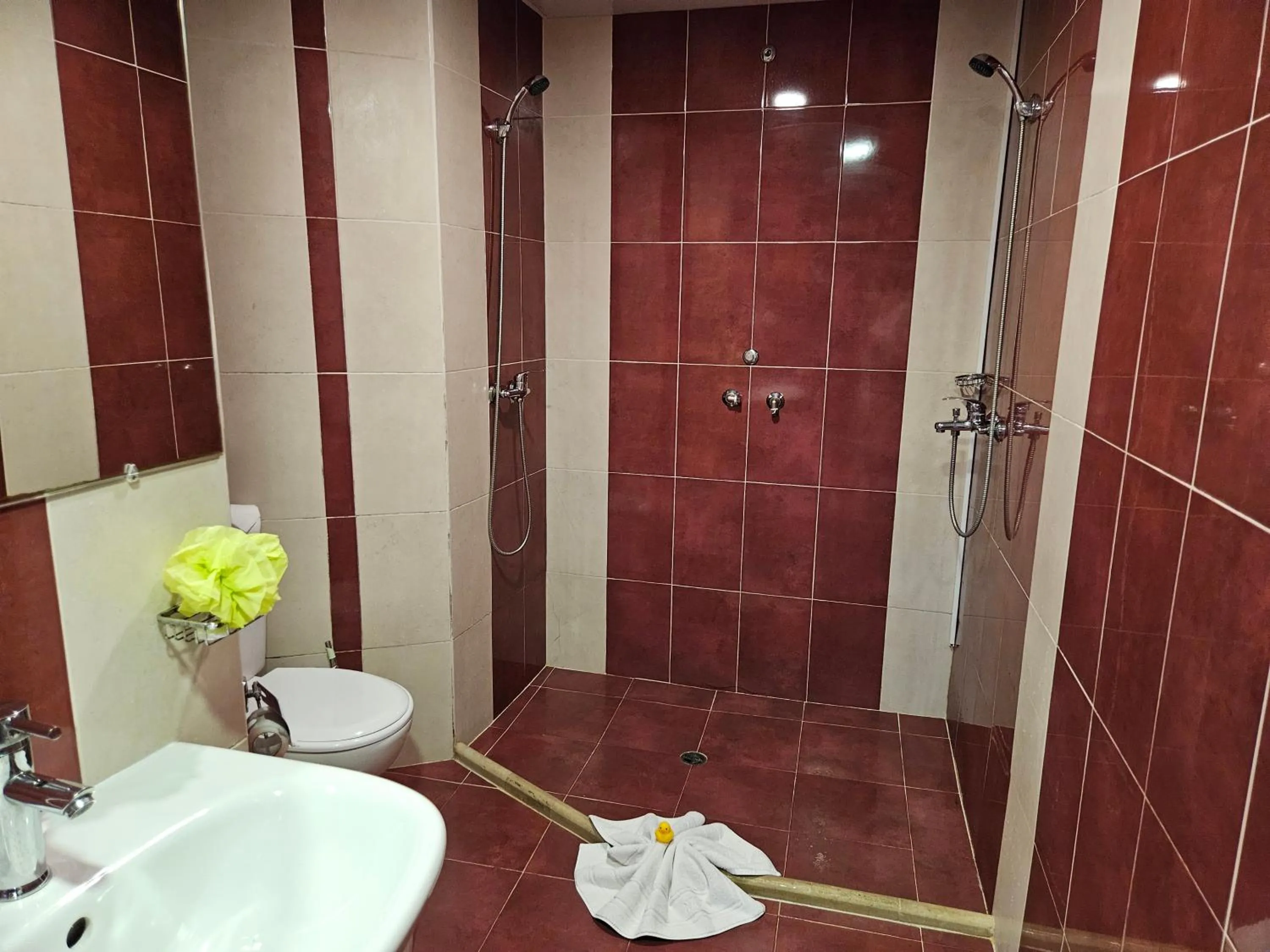 Shower in Paralax Hotel