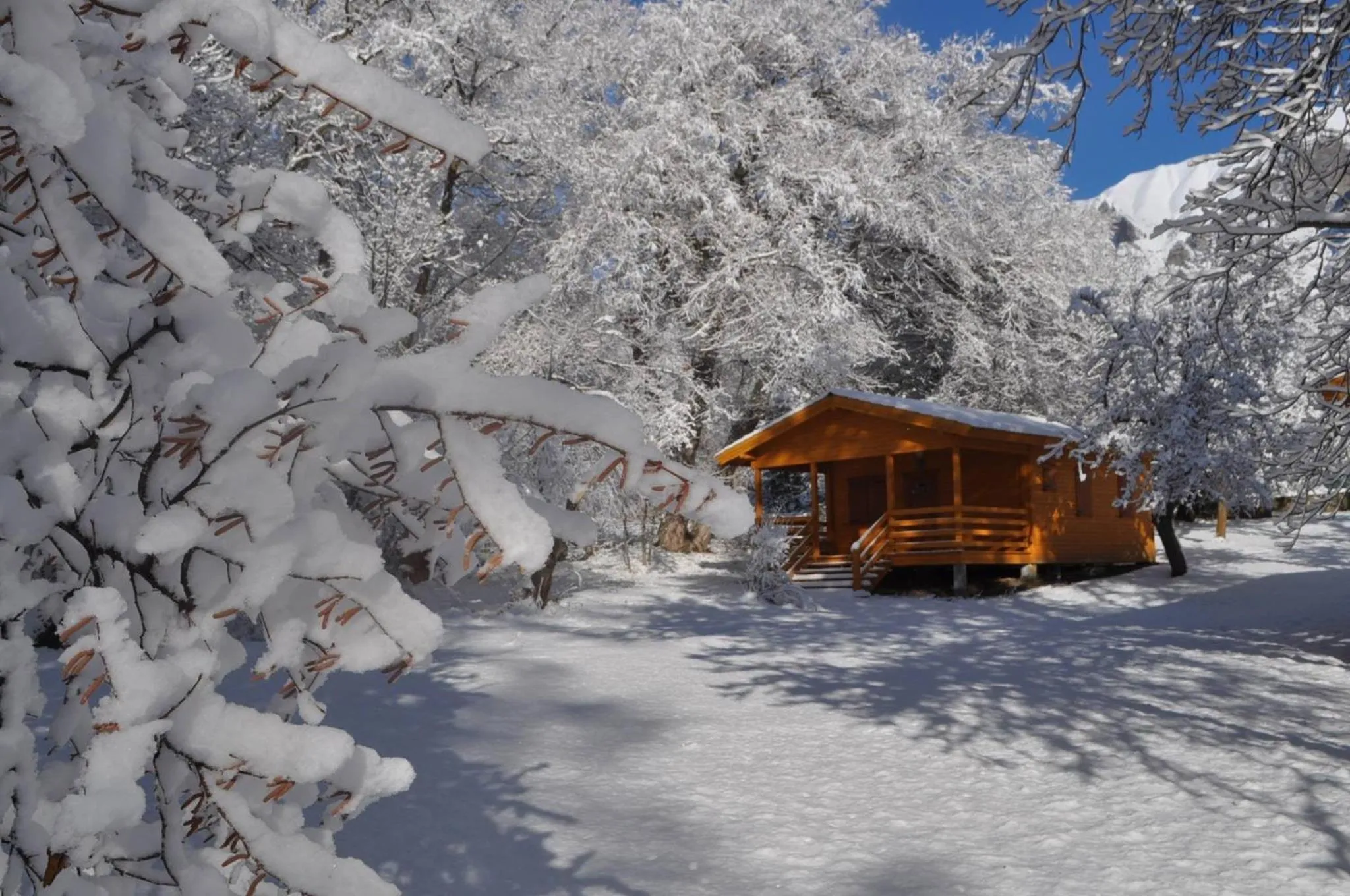 On site in Camping, Hôtel De Plein Air Les Cariamas