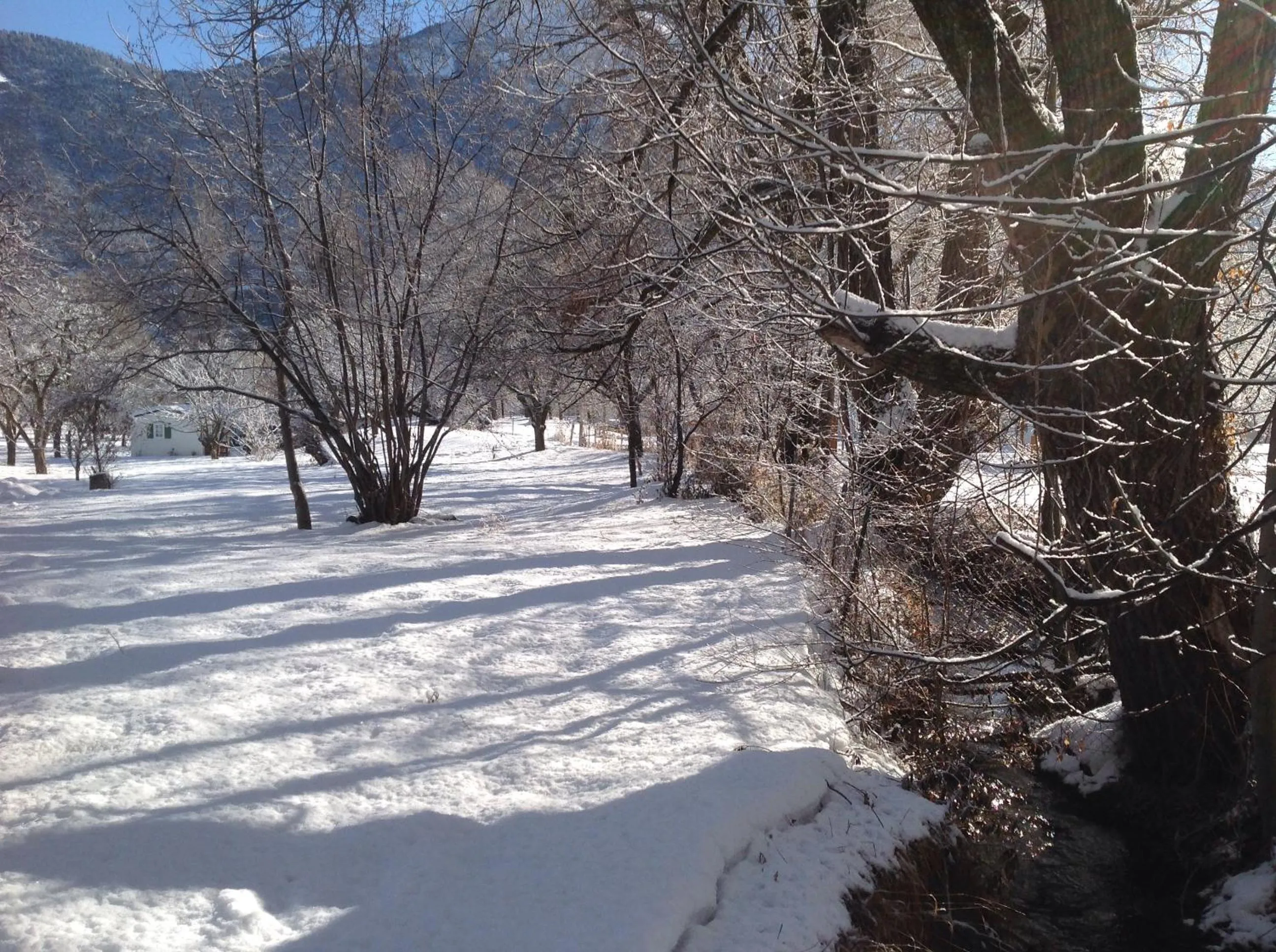 Neighbourhood in Camping, Hôtel De Plein Air Les Cariamas