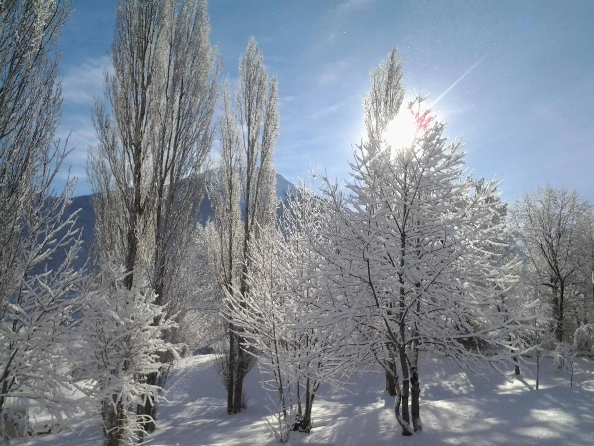 Facade/entrance in Camping, Hôtel De Plein Air Les Cariamas