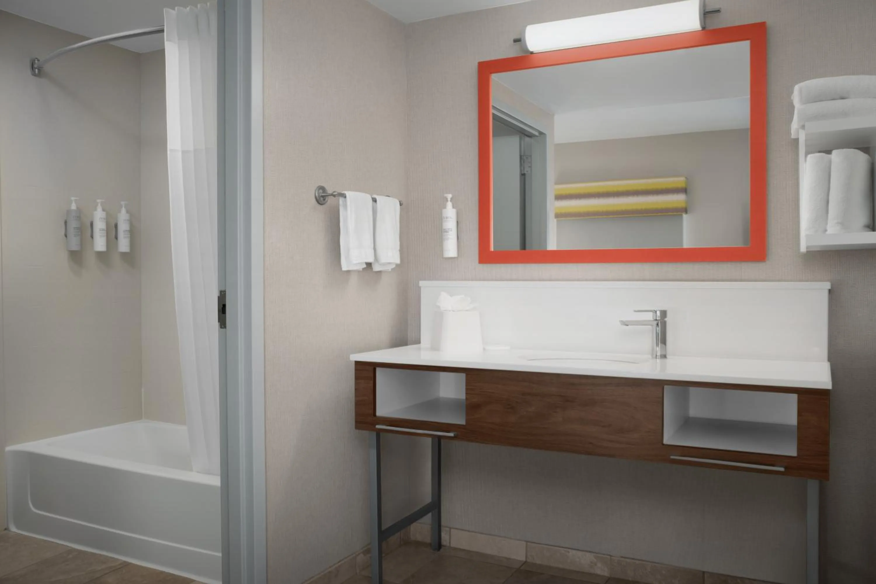 Bathroom in Hampton Inn & Suites-Knoxville/North I-75