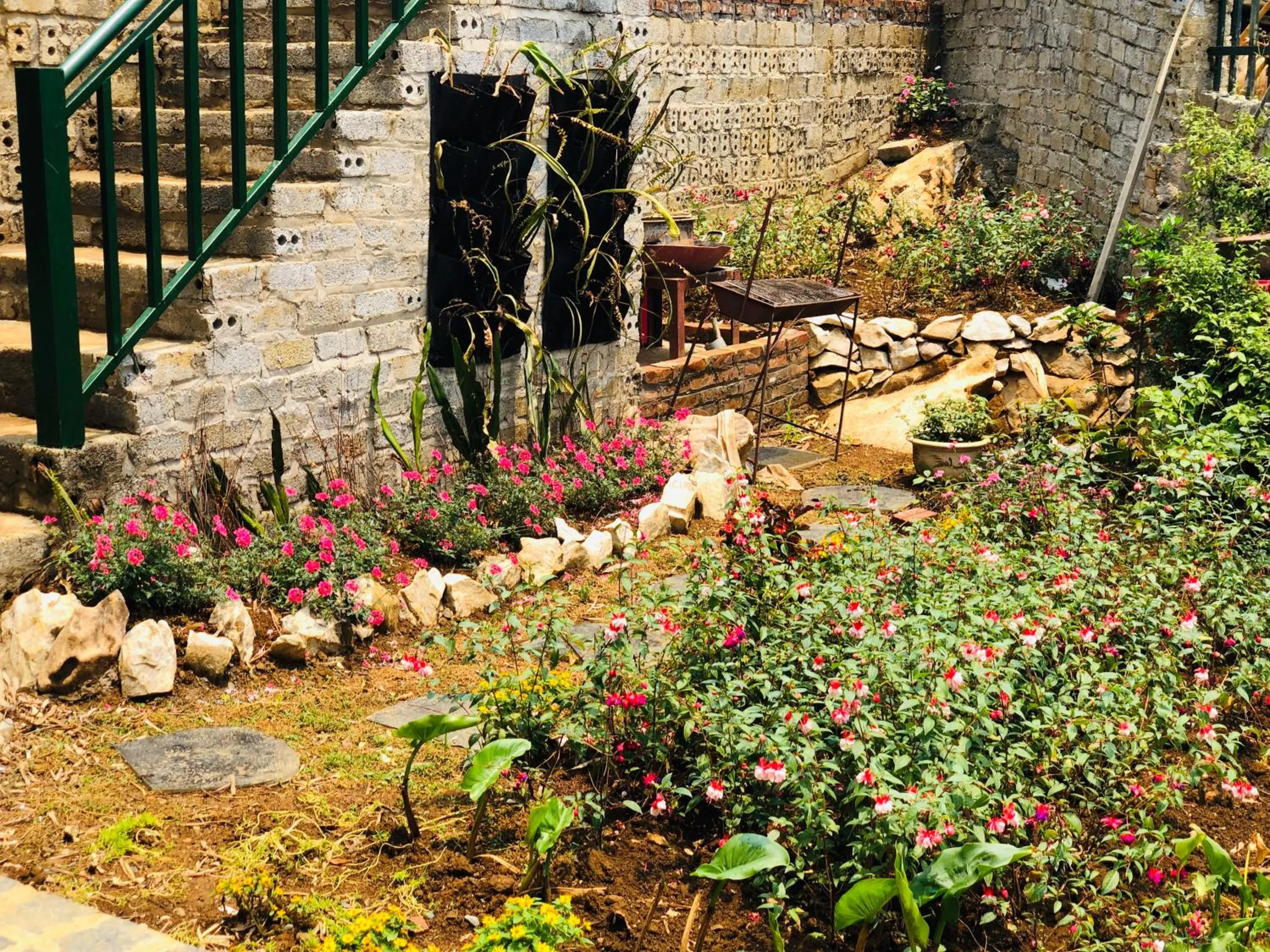 Garden in Youth Homestay Sapa