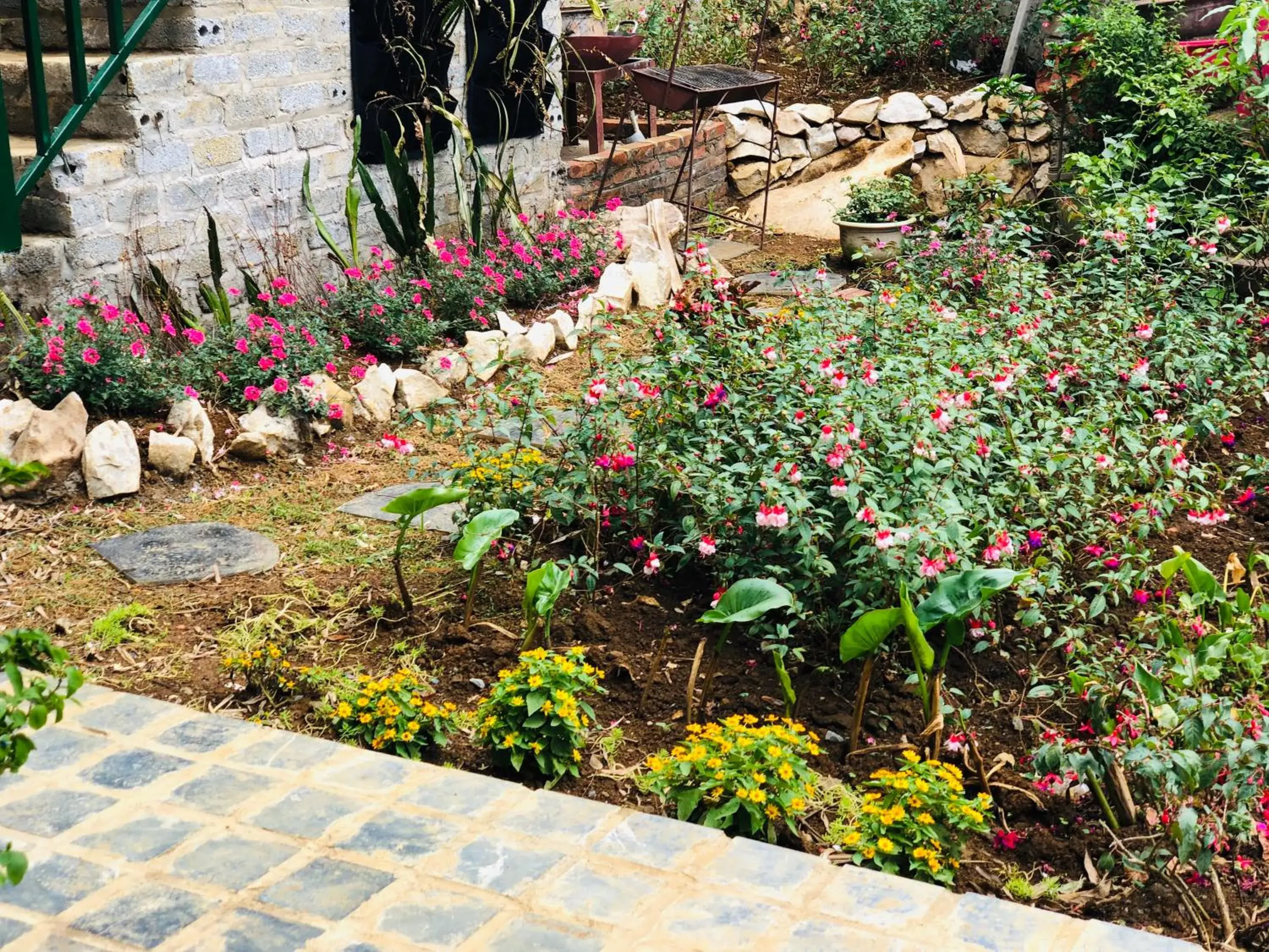 Youth Homestay Sapa Youth Homestay Sapa