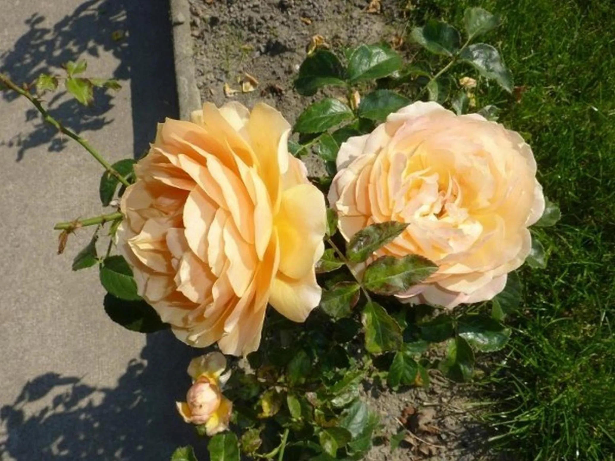 Other in Maison d'Hôtes Les Belles de Mai