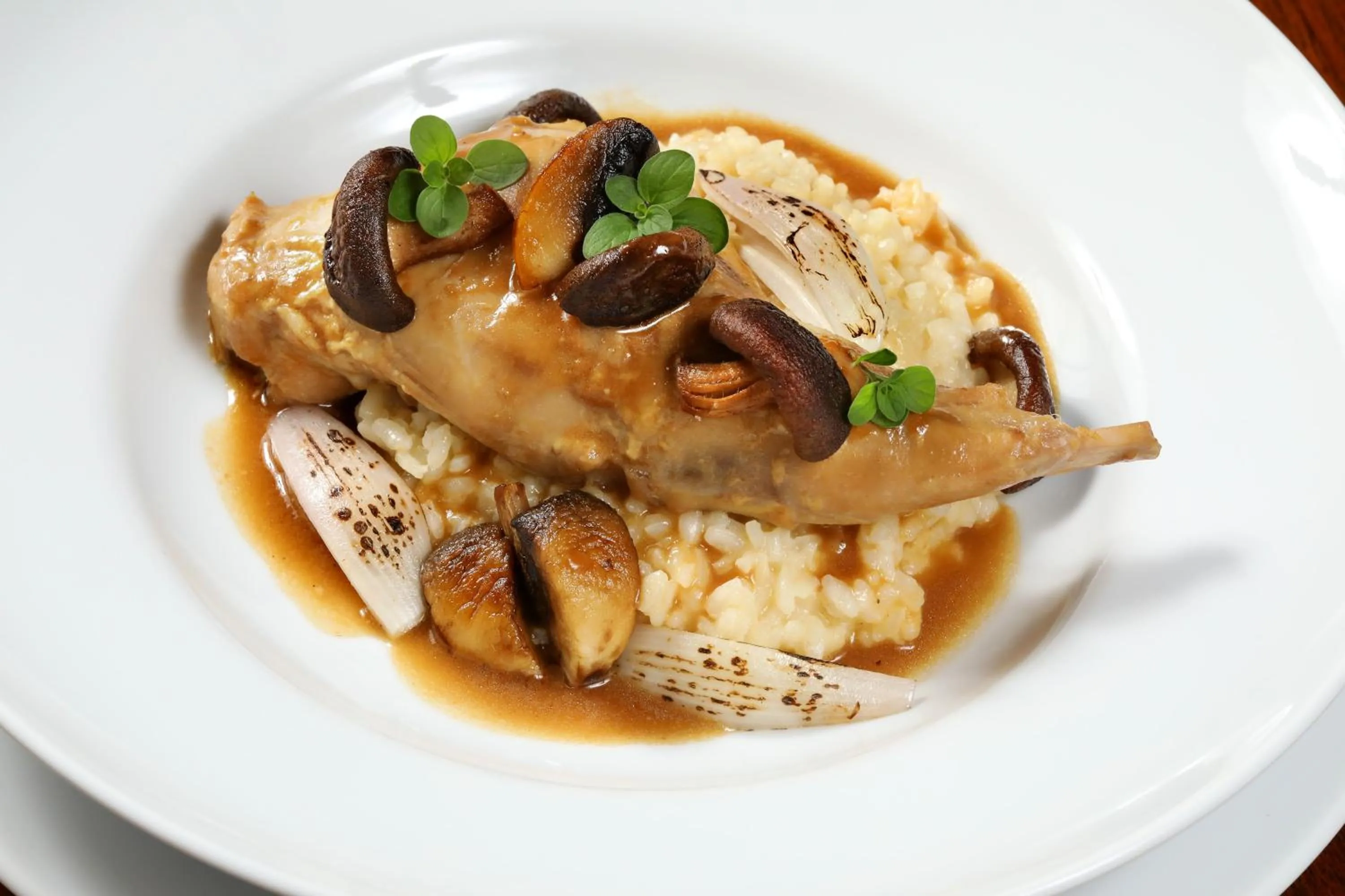 Food and drinks in Hotel Laguna Slapy