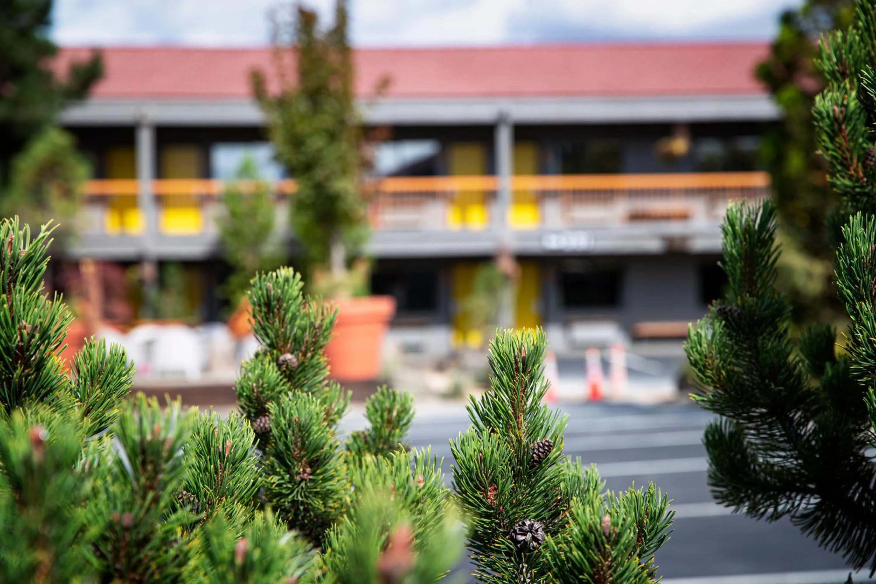 Property building in Campfire Hotel