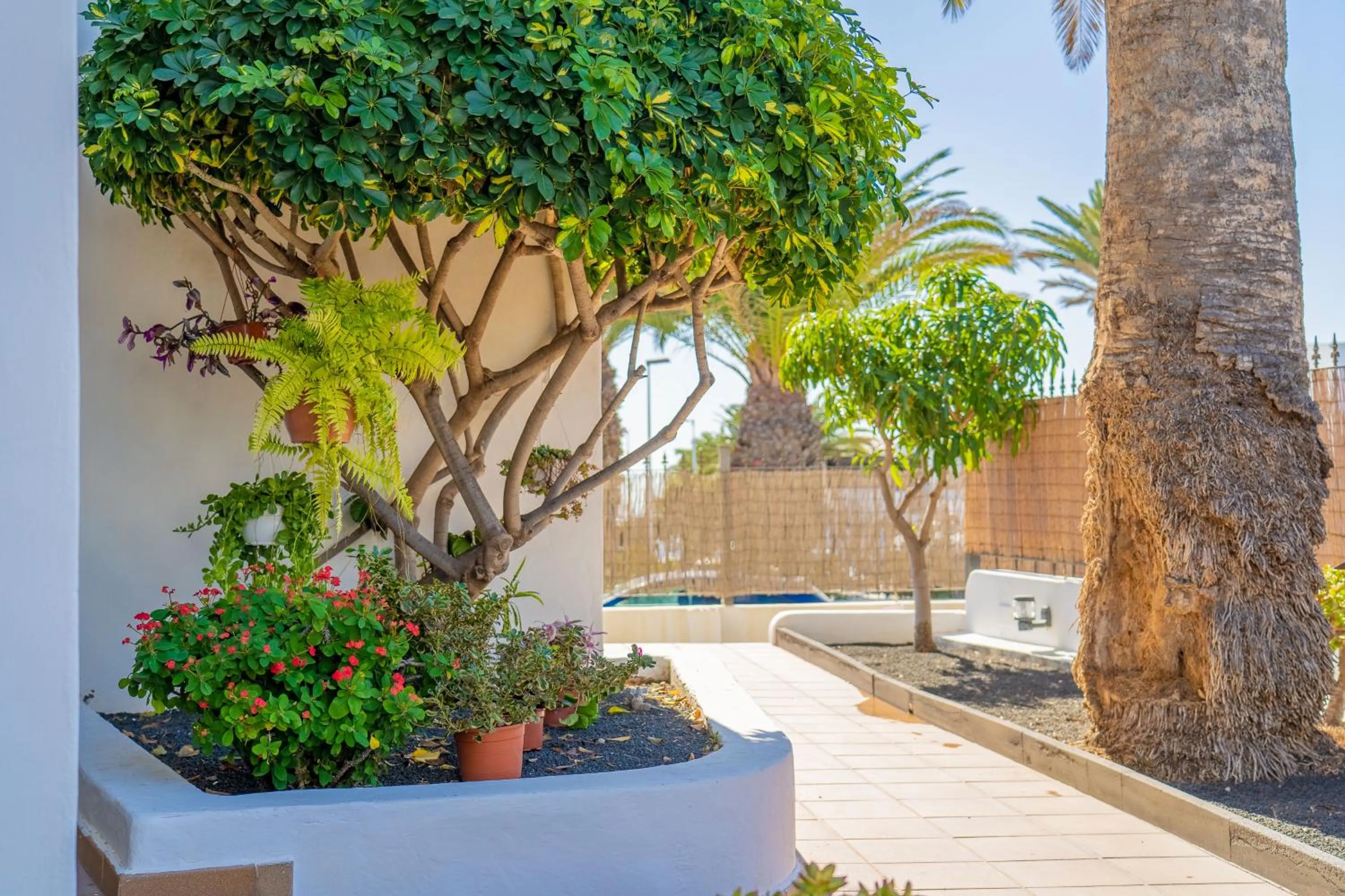 Apartamentos Isla de Lobos - Adults Only