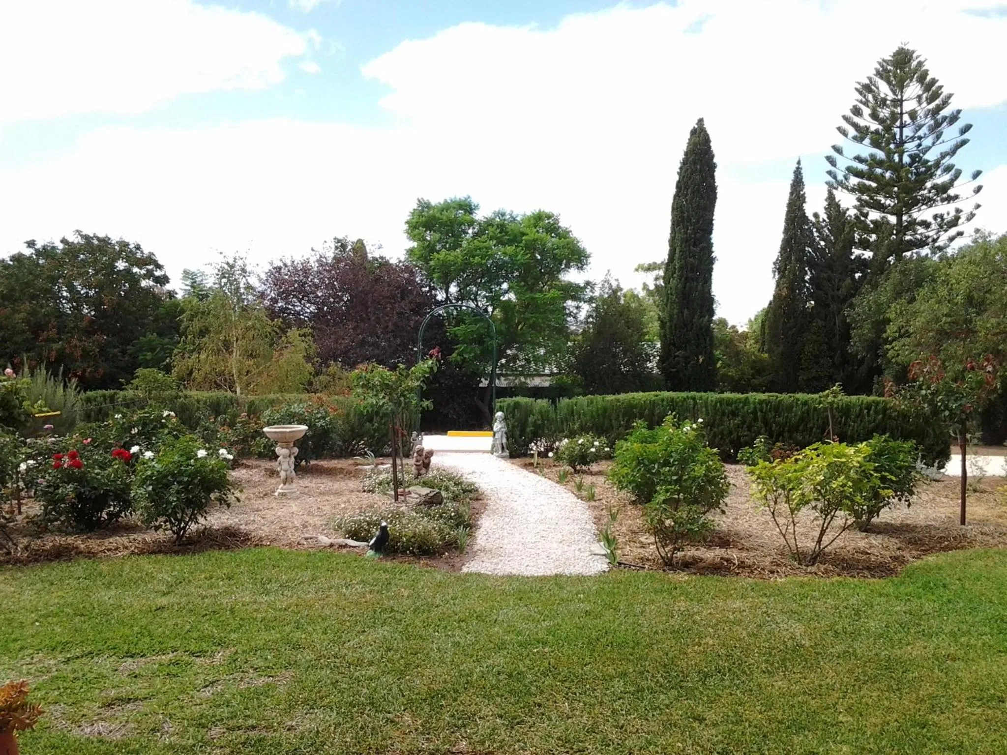 Garden in Lyreen's Apartment