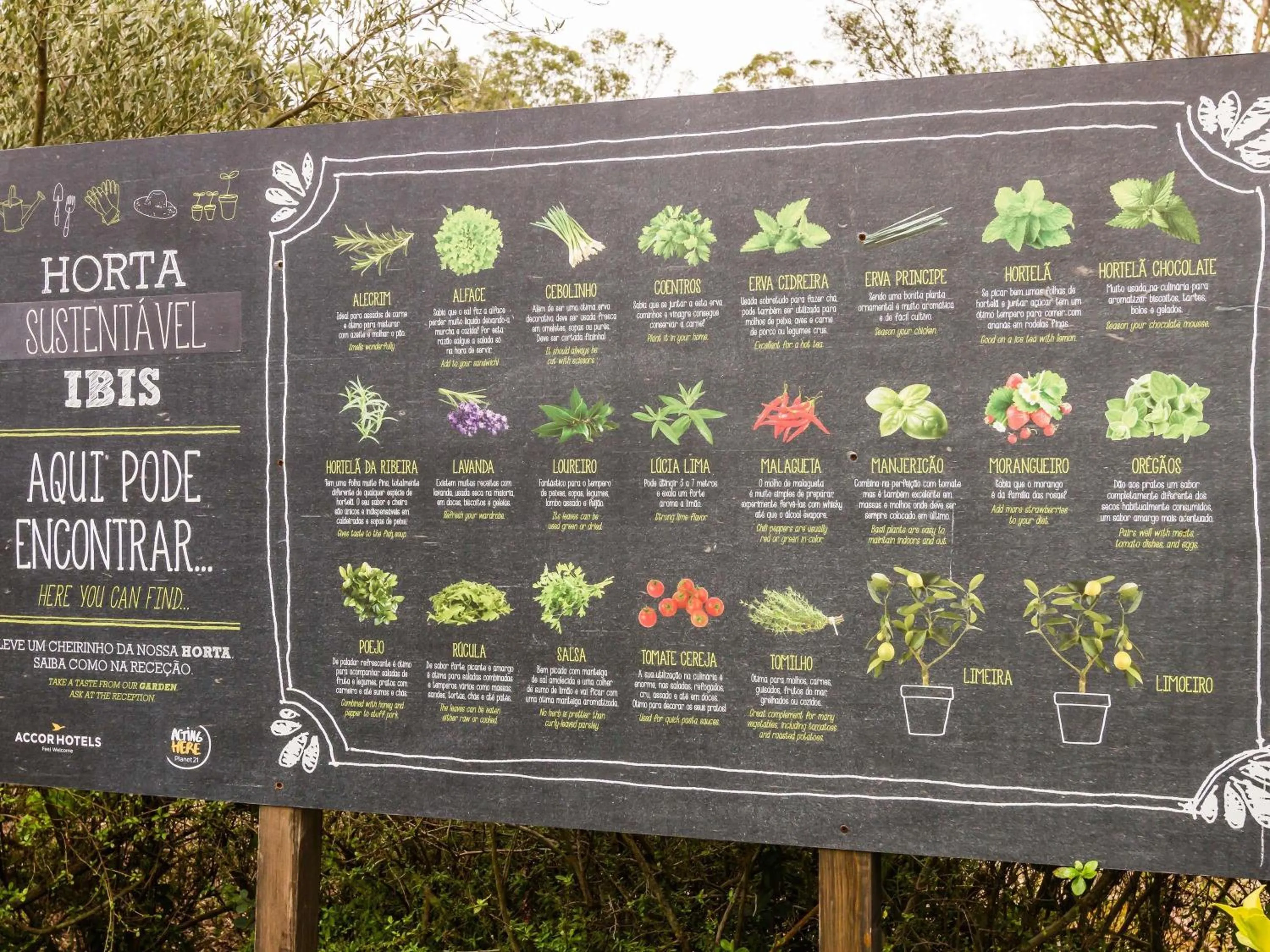 Other in Hotel ibis Lisboa Alfragide