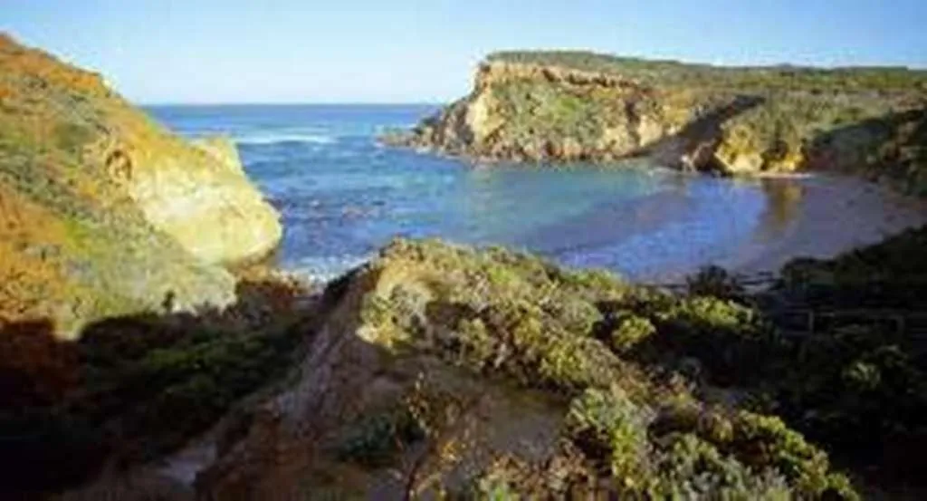 Other in Butterfly Farm Bed and Breakfast Nirranda