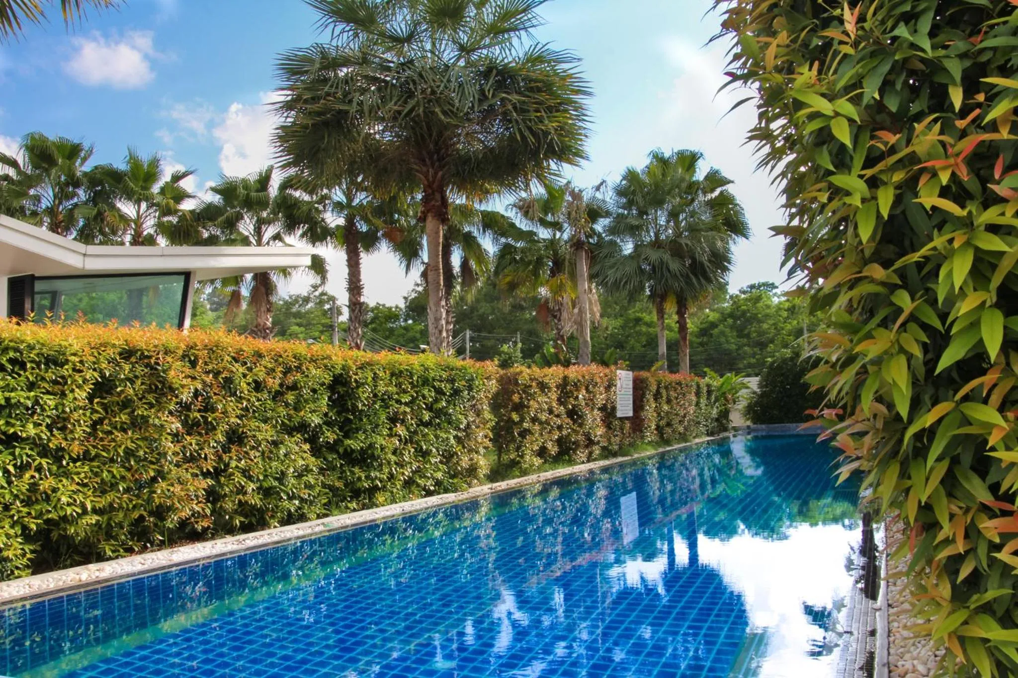 Swimming pool in The Palmery Resort