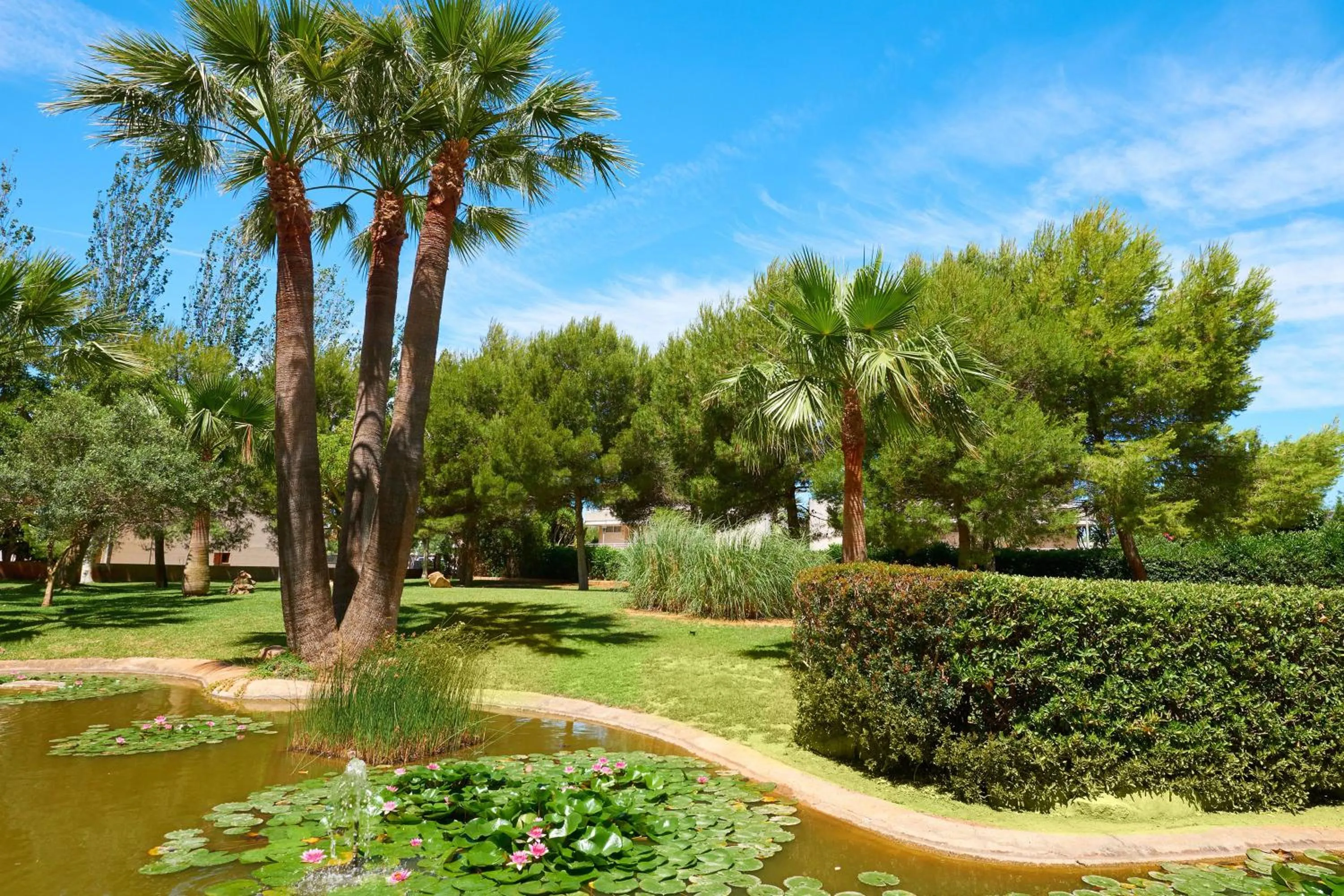 Garden in Welikehotel Marfil Playa