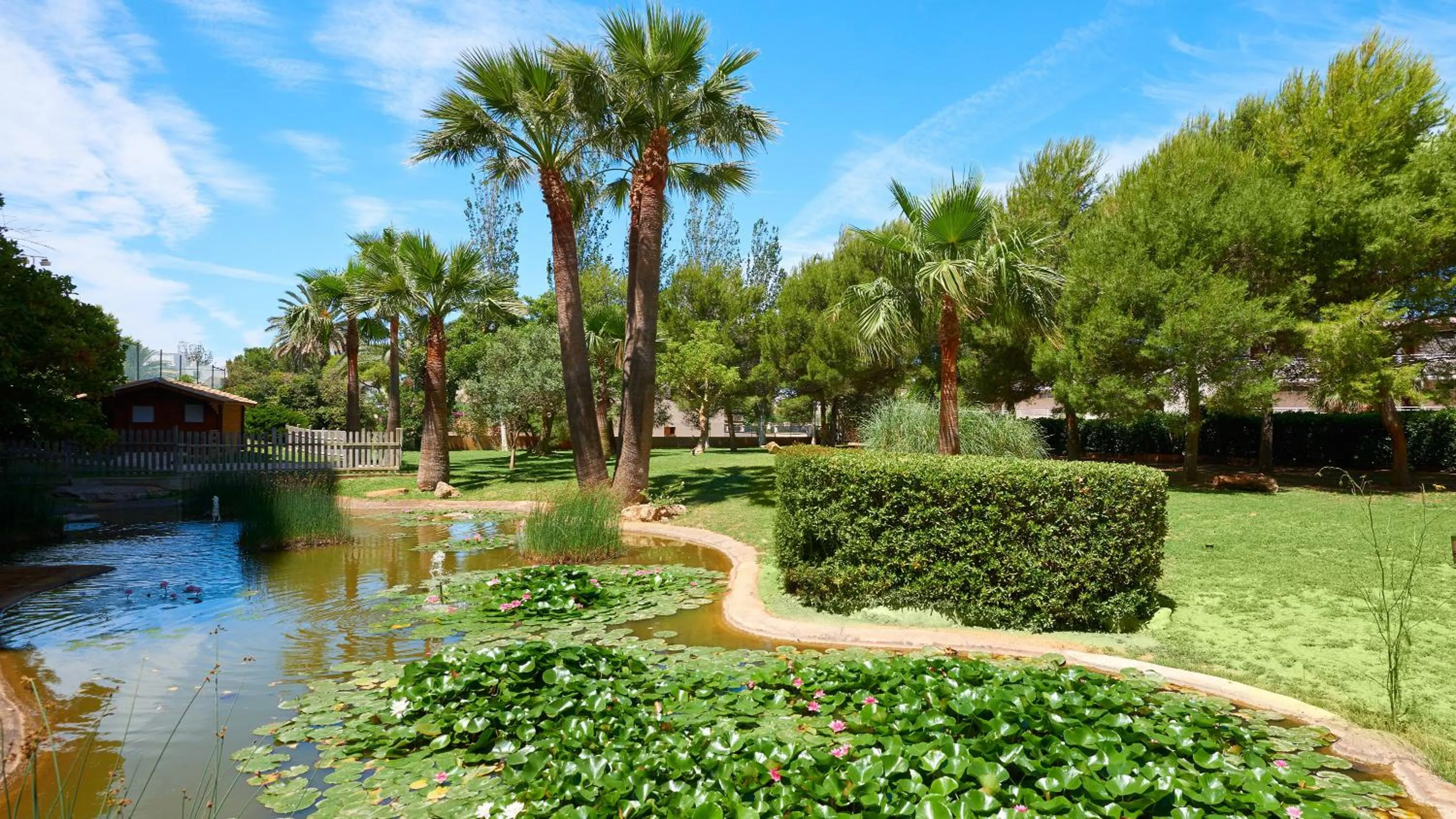 Garden in Welikehotel Marfil Playa