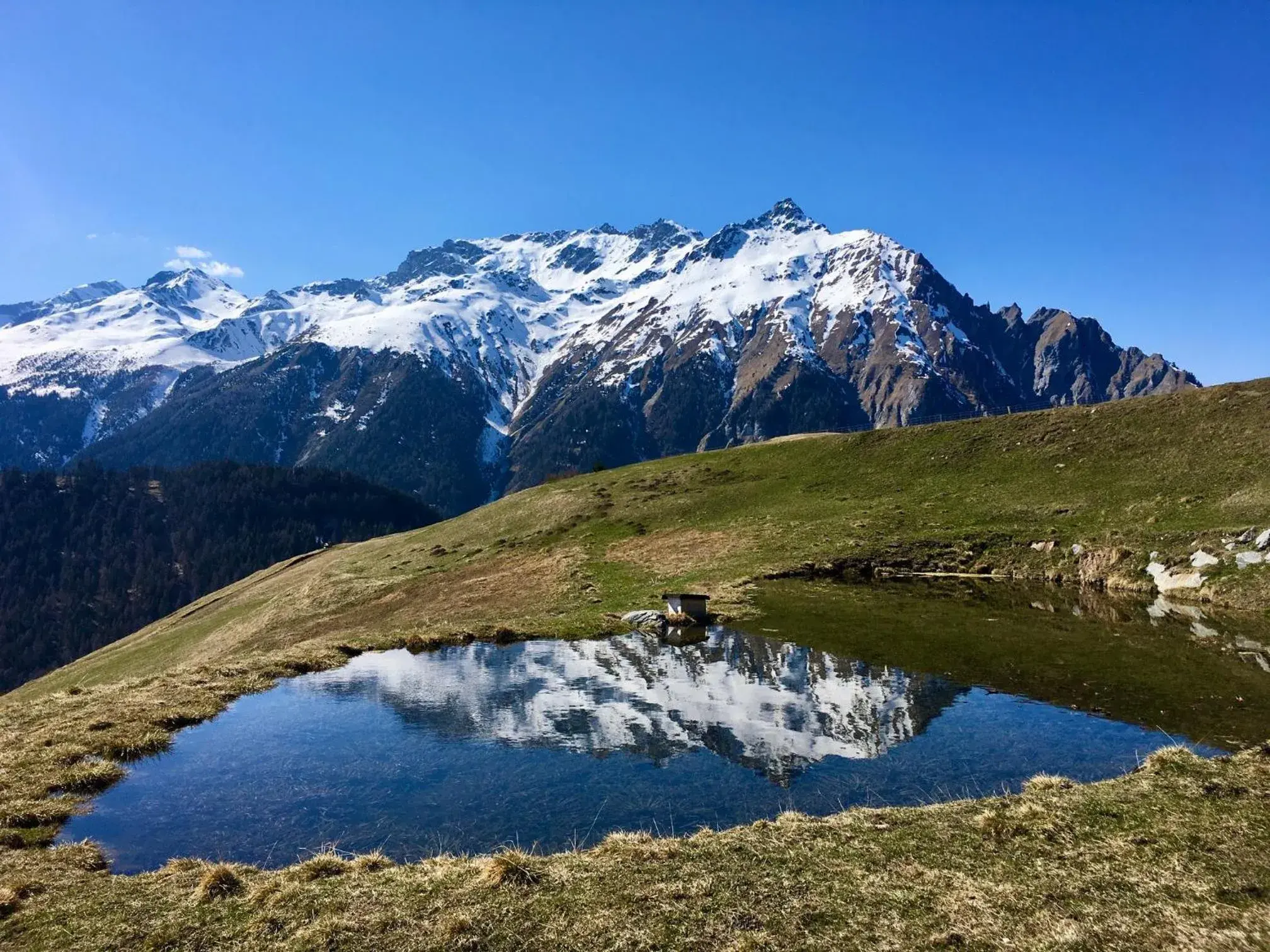 Gasthof Martha Gasthof Martha