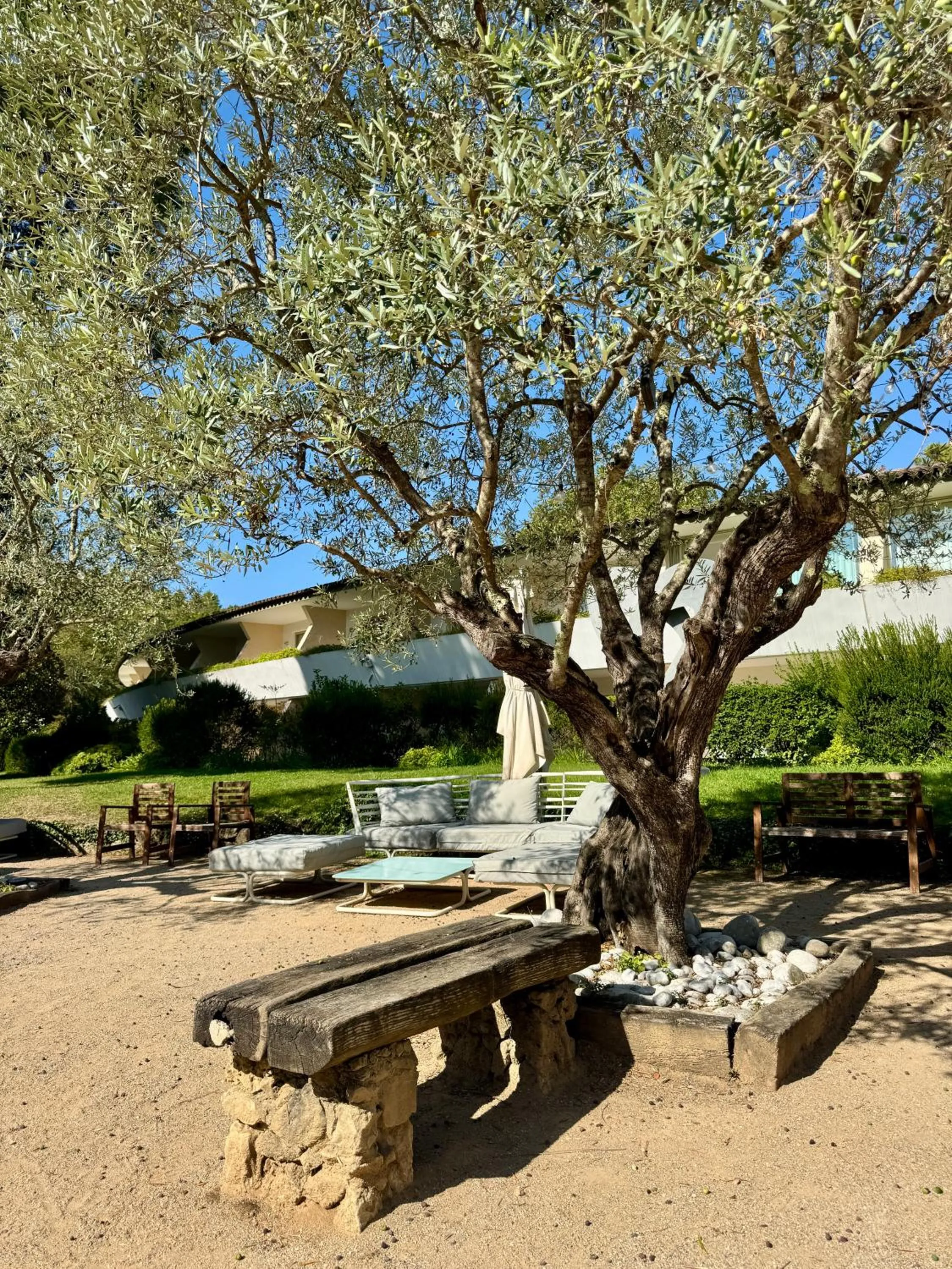 Garden in Hotel Restaurant La Vague de Saint Paul