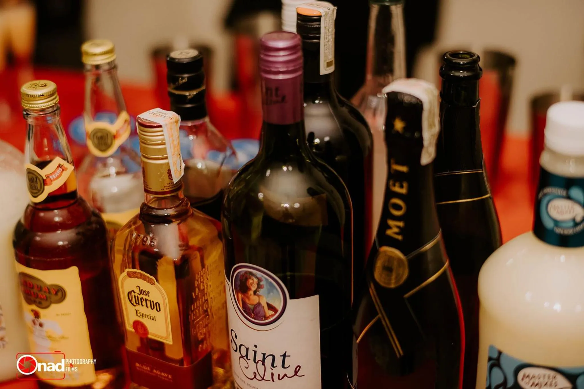 Property building in Ashley and Bill's Suites 'N Garden Hotel and Vacation Homes