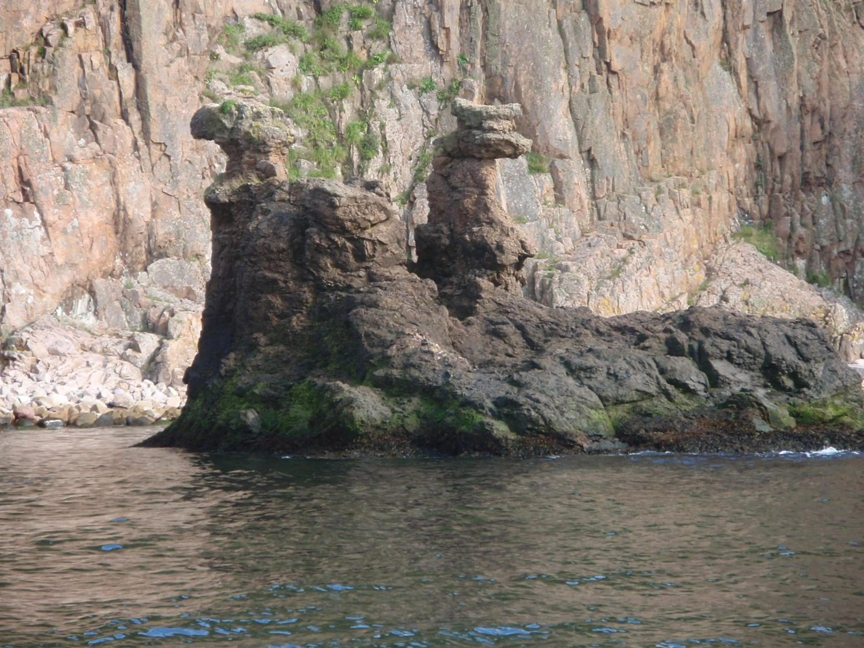 Area and facilities in Hotel Sandvig Havn