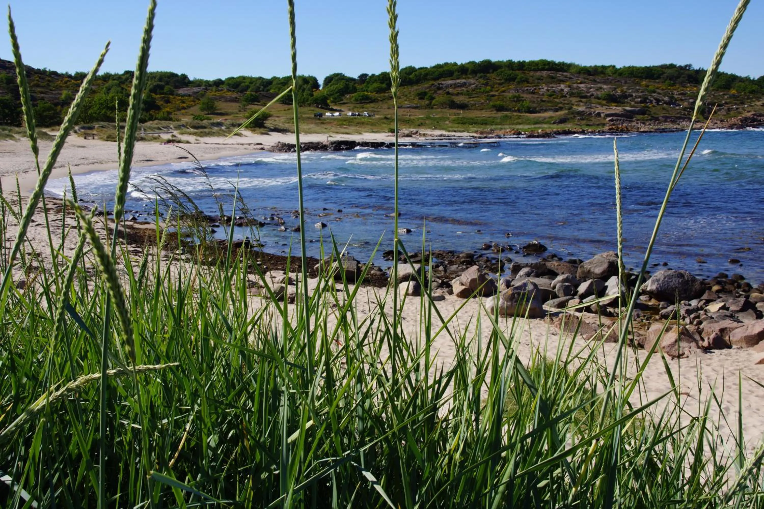 Beach in Hotel Sandvig Havn