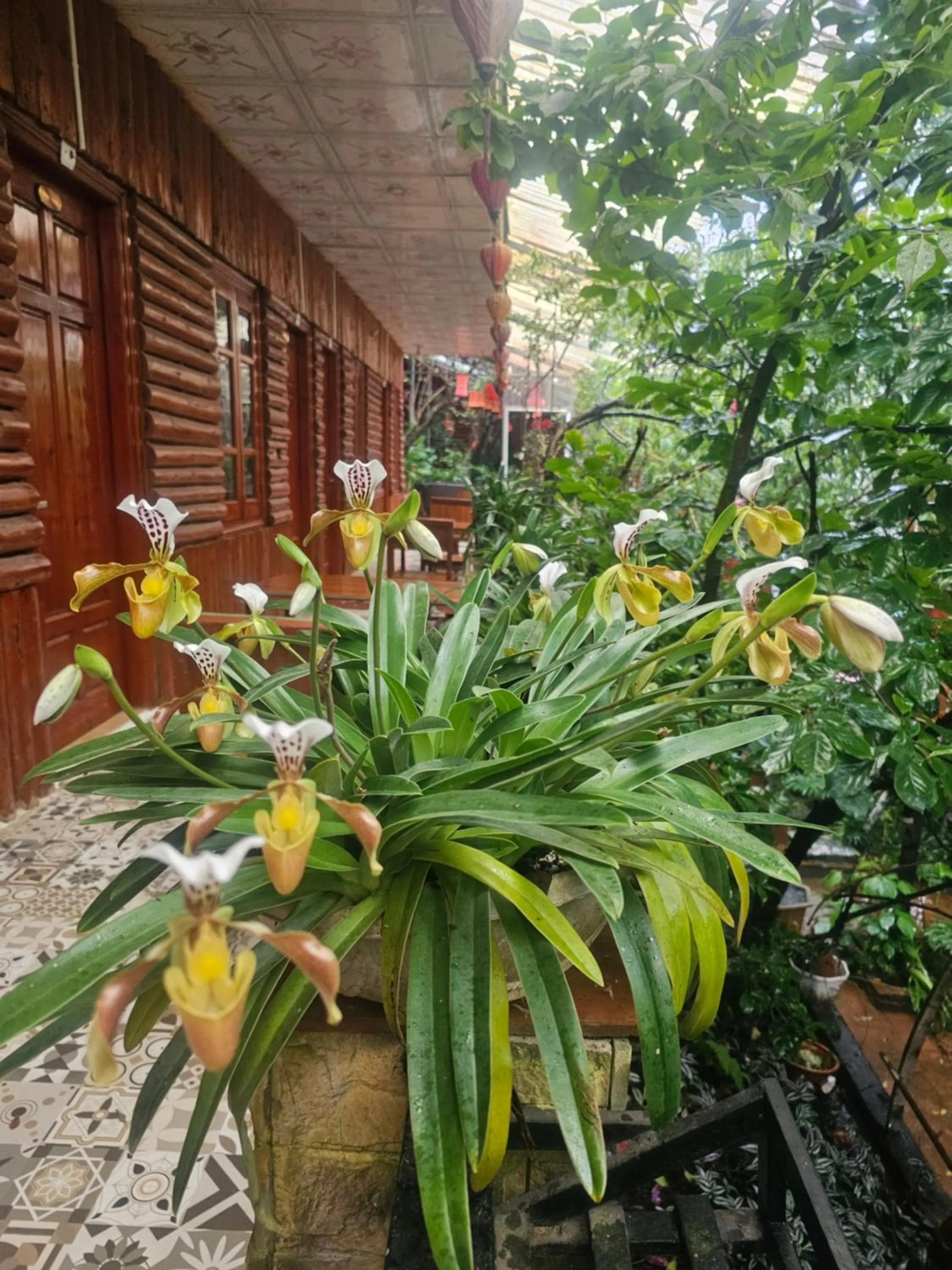 View (from property/room) in Dang Khoa Garden Inn