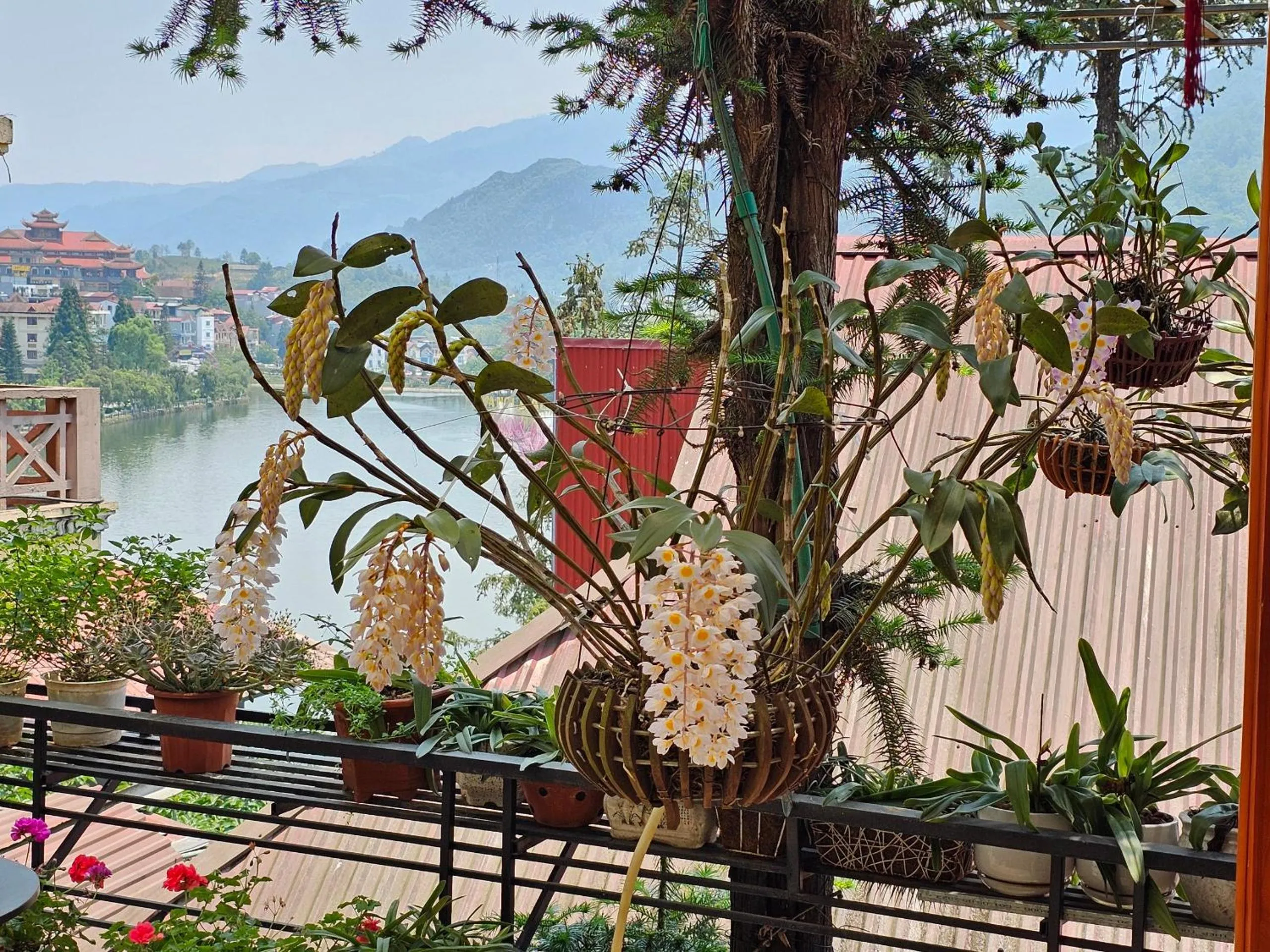 Garden in Dang Khoa Garden Inn