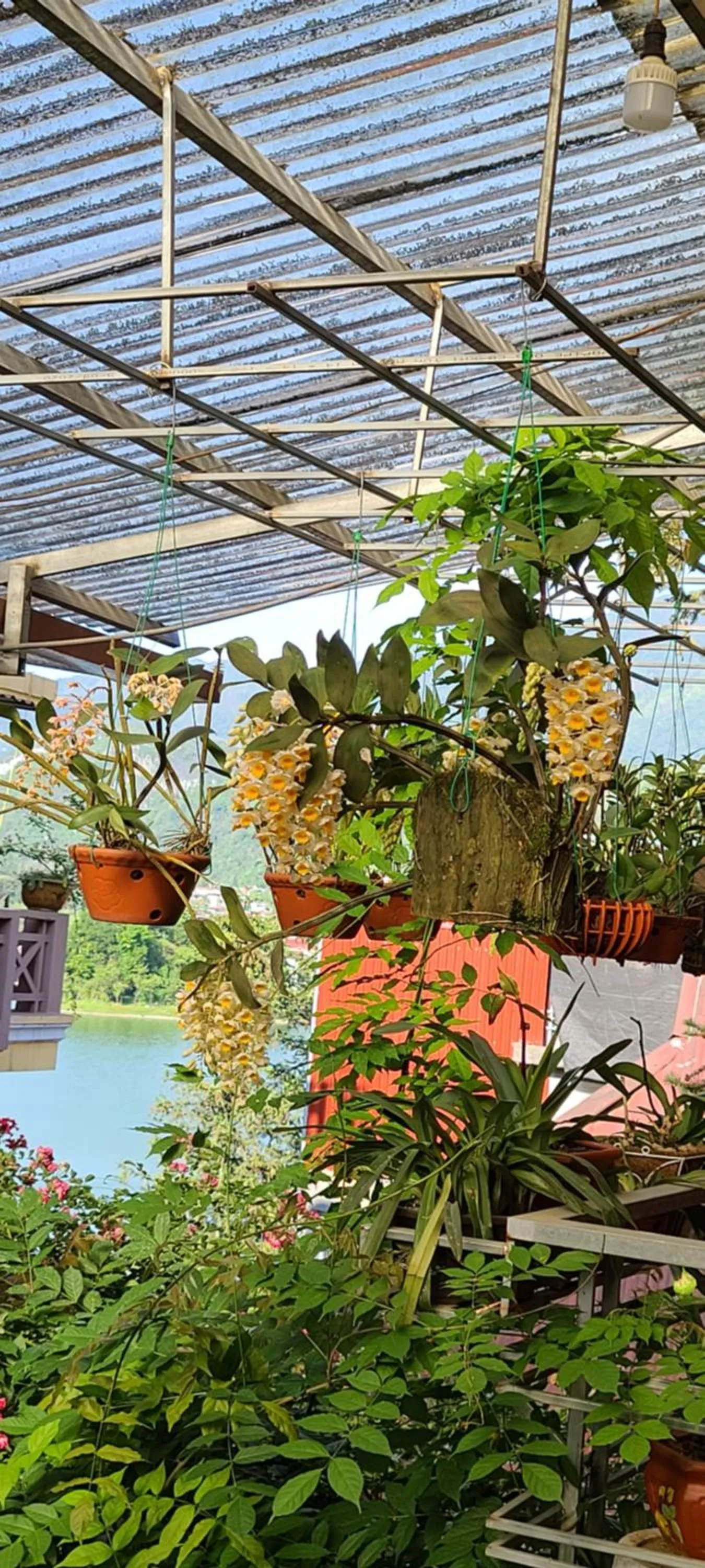 View (from property/room) in Dang Khoa Garden Inn