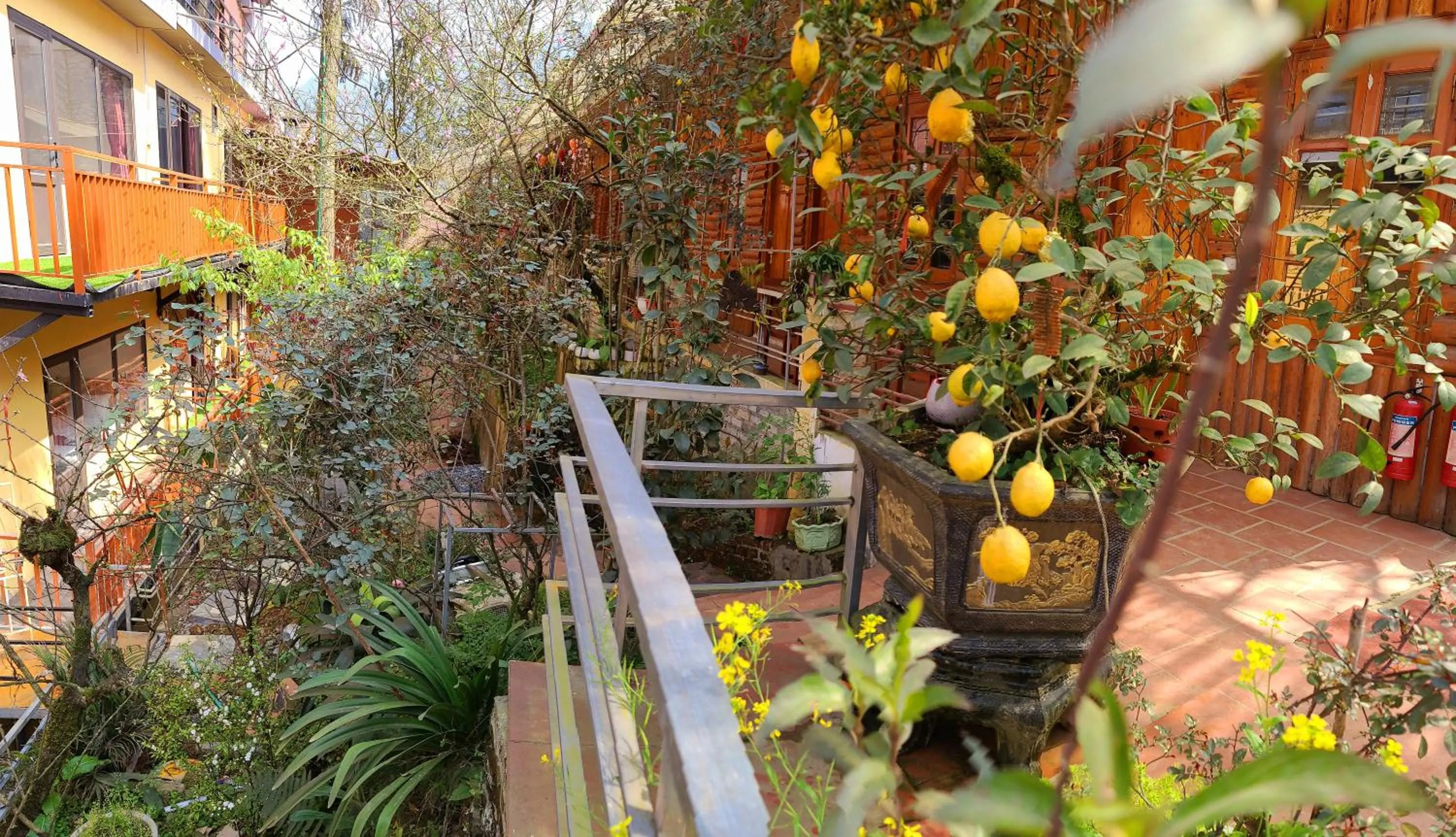 Garden in Dang Khoa Garden Inn