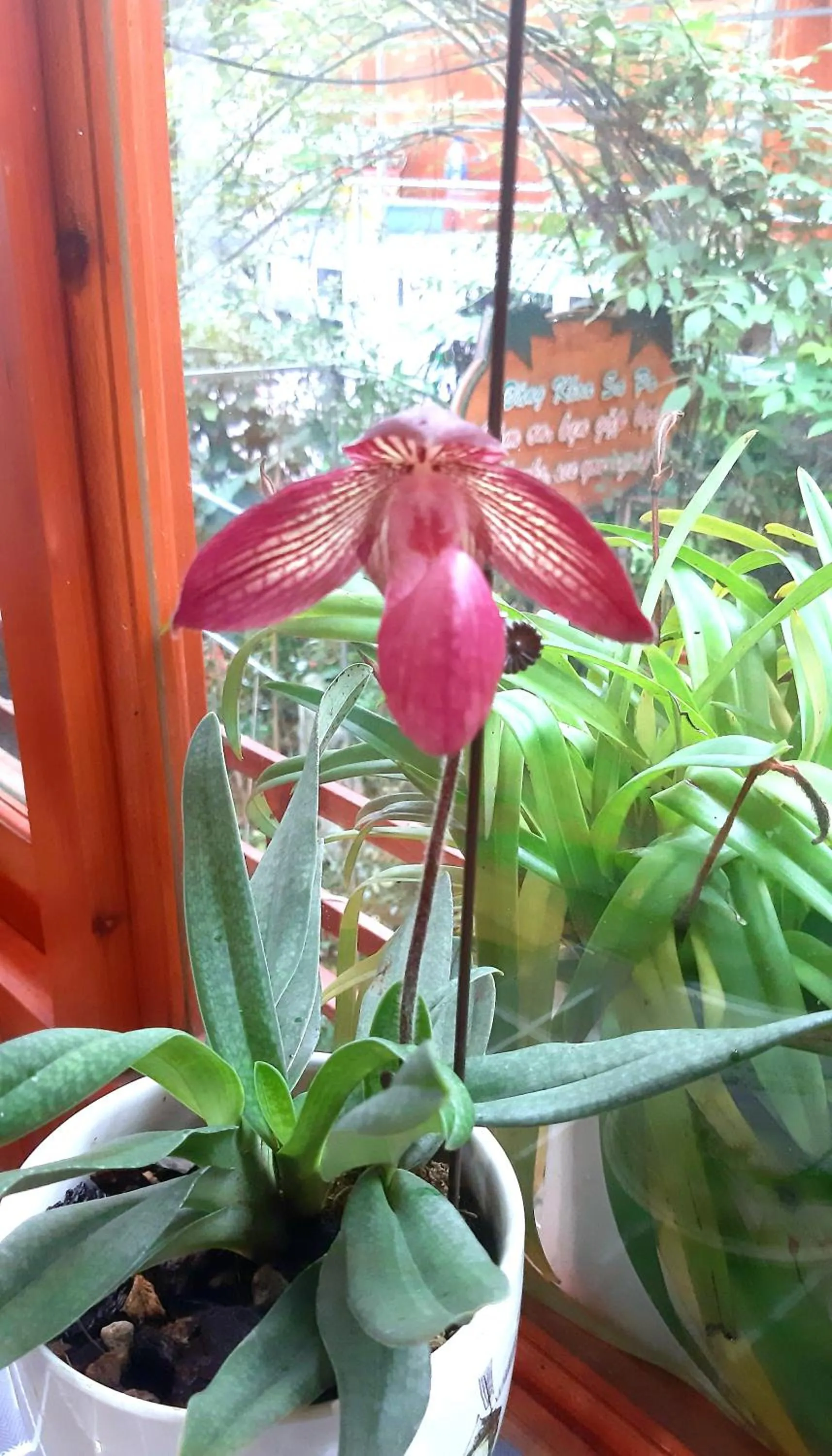 Restaurant/places to eat in Dang Khoa Garden Inn