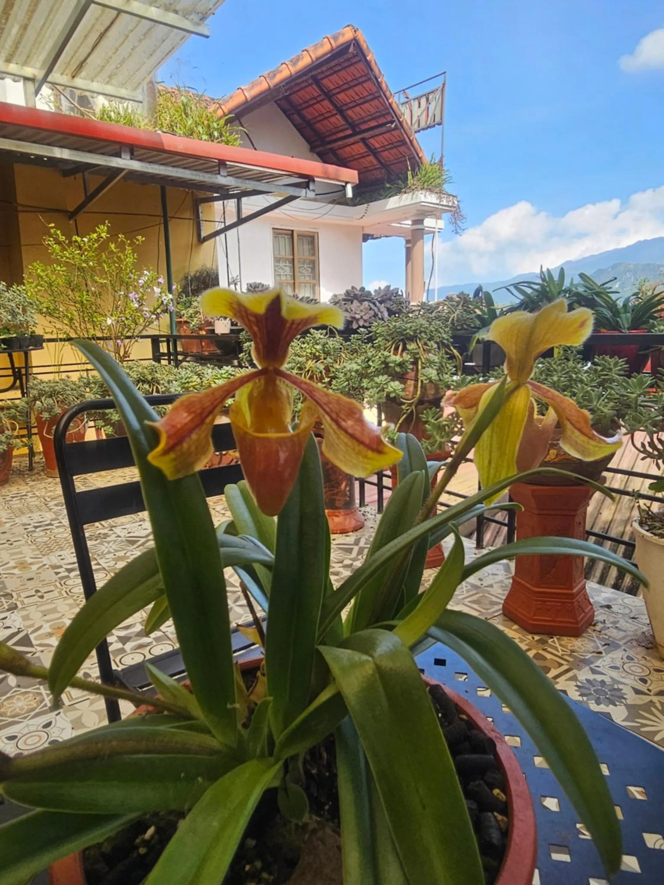 View (from property/room) in Dang Khoa Garden Inn