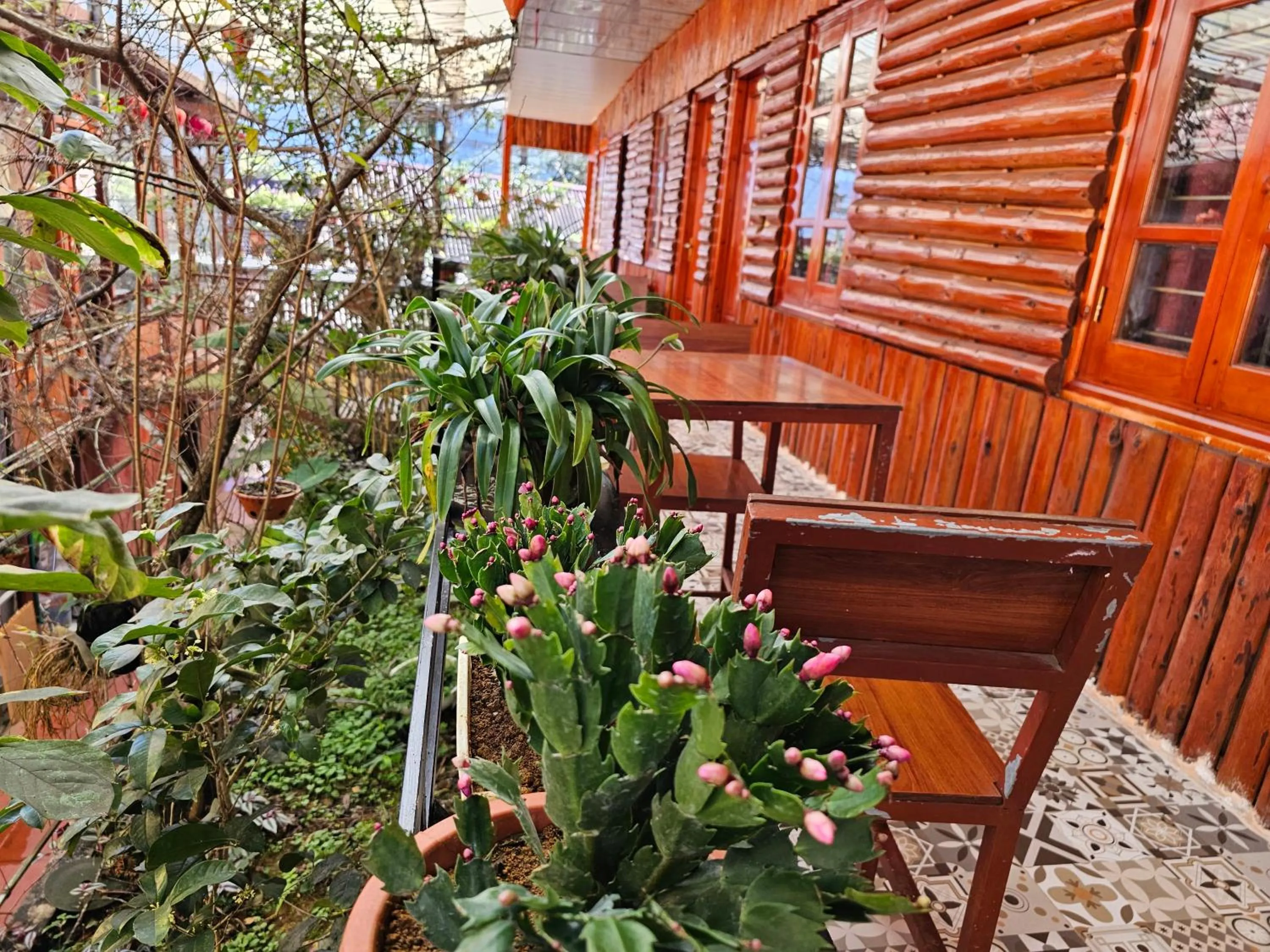 Garden view in Dang Khoa Garden Inn