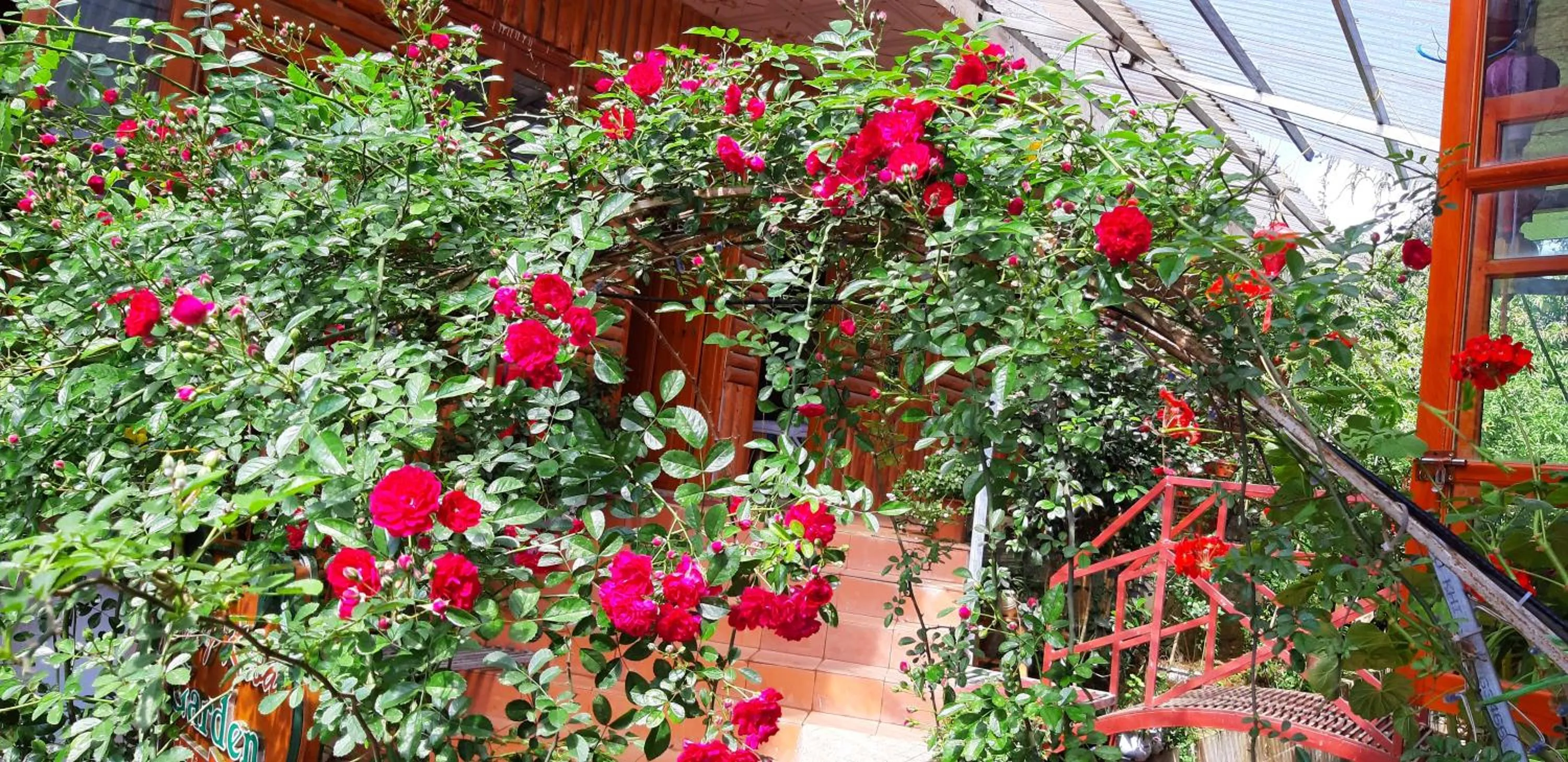 Garden in Dang Khoa Garden Inn