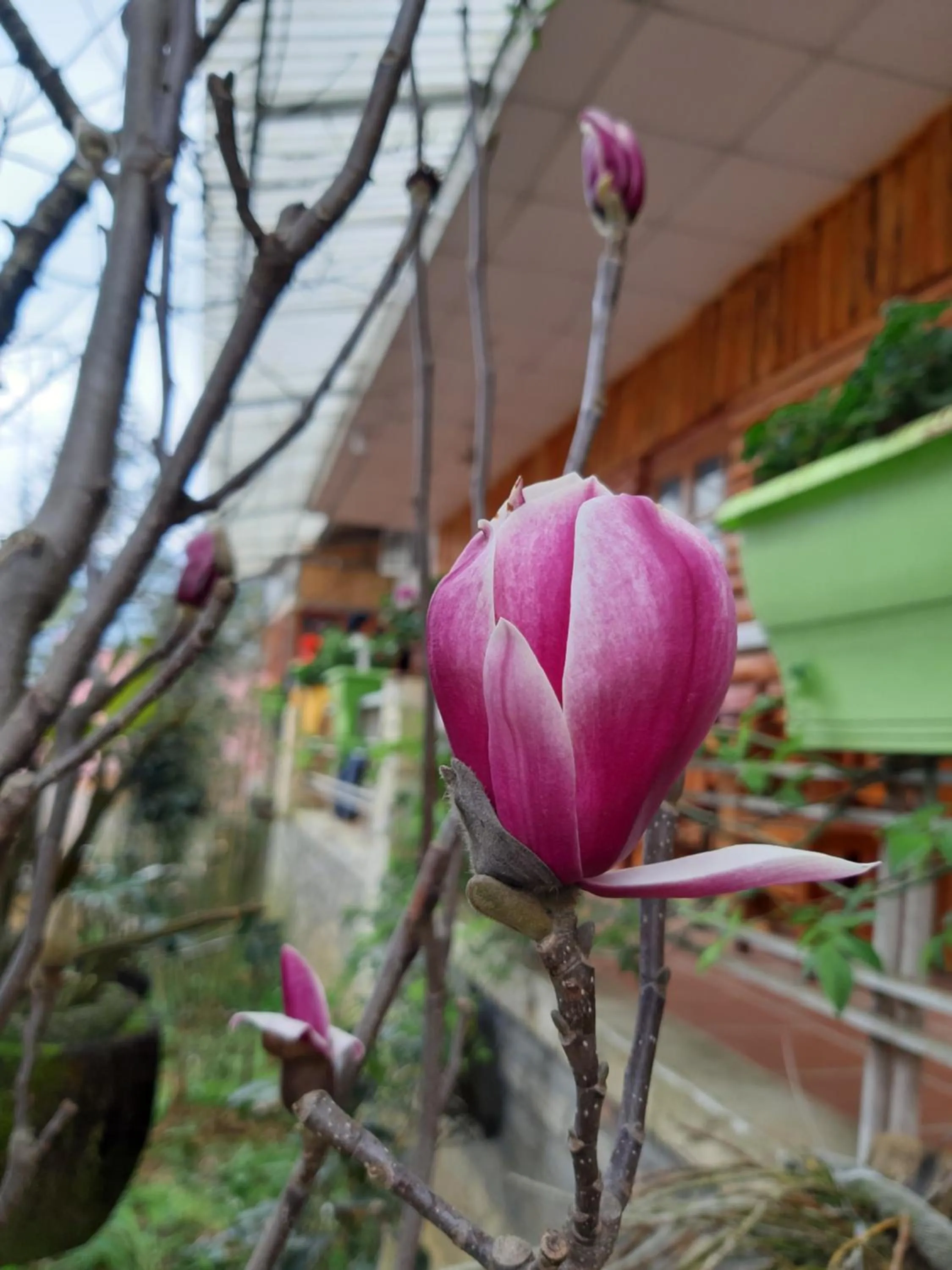 Spring in Dang Khoa Garden Inn