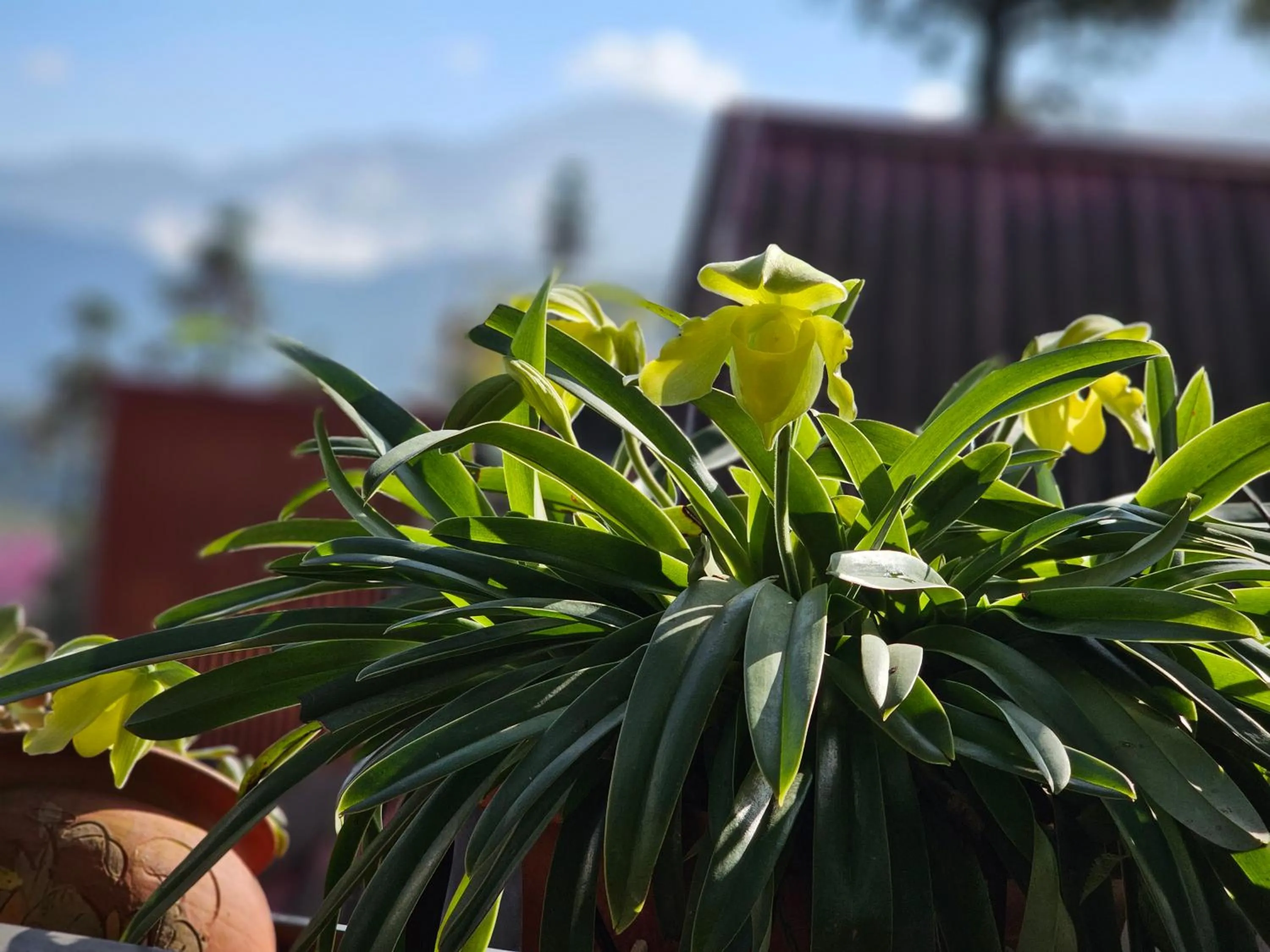 Garden in Dang Khoa Garden Inn