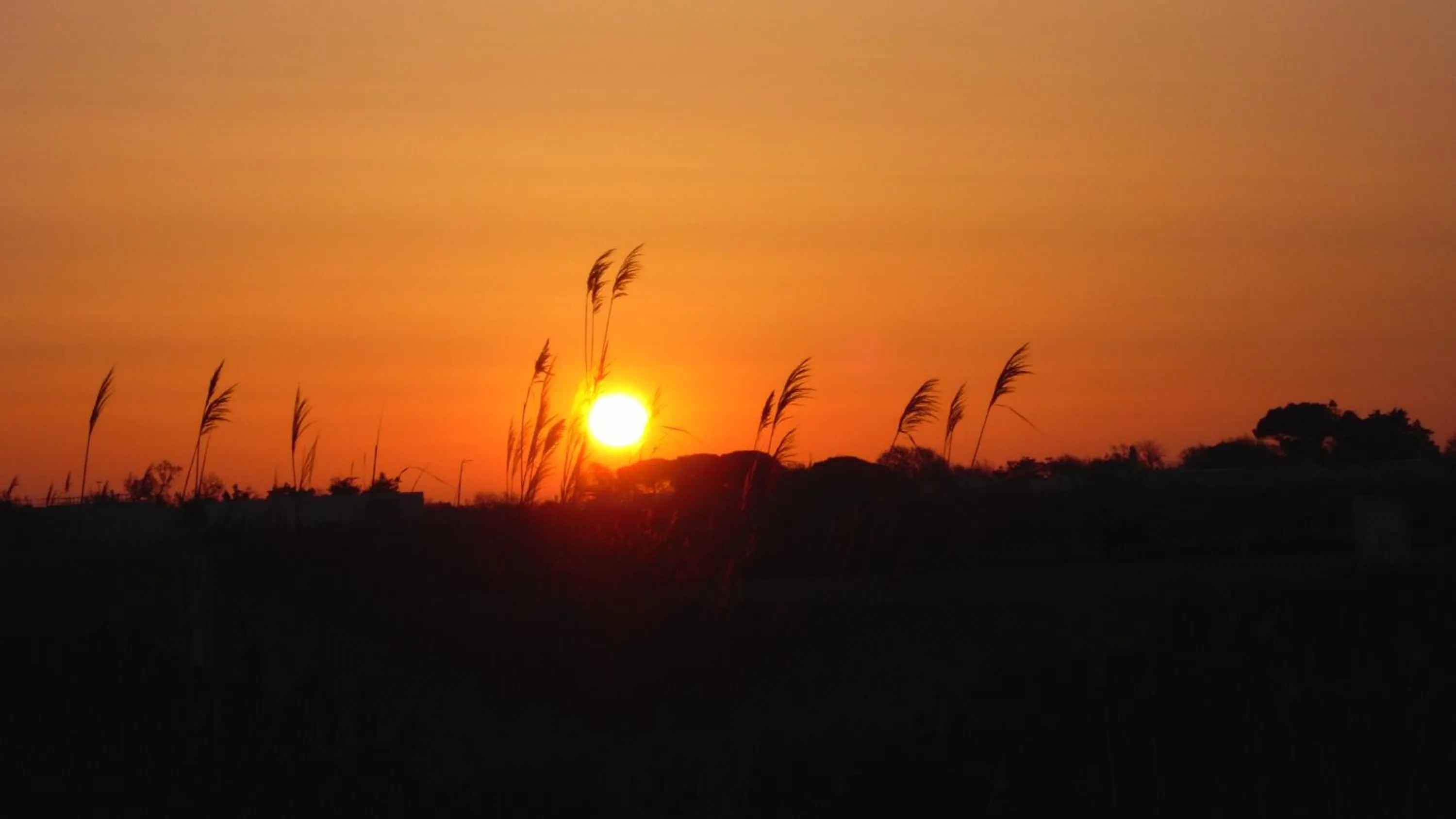 Sunrise in Chambre les flamants, climatisation, avec vue imprenable sur les étangs, petit déjeuner offert